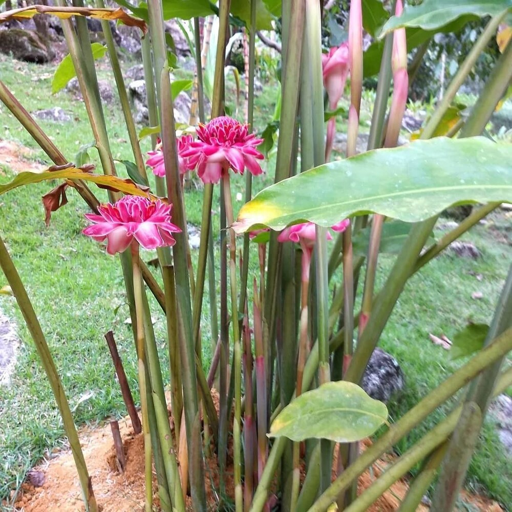 Chácara Gota Do Riacho