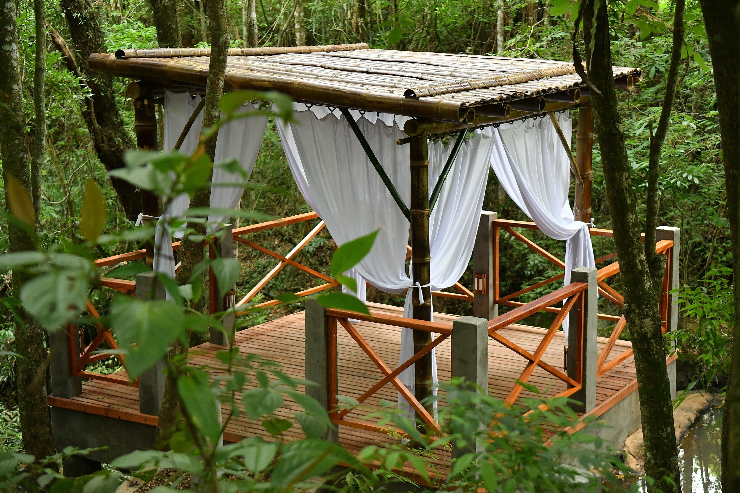 Pousada Chão De Folhas