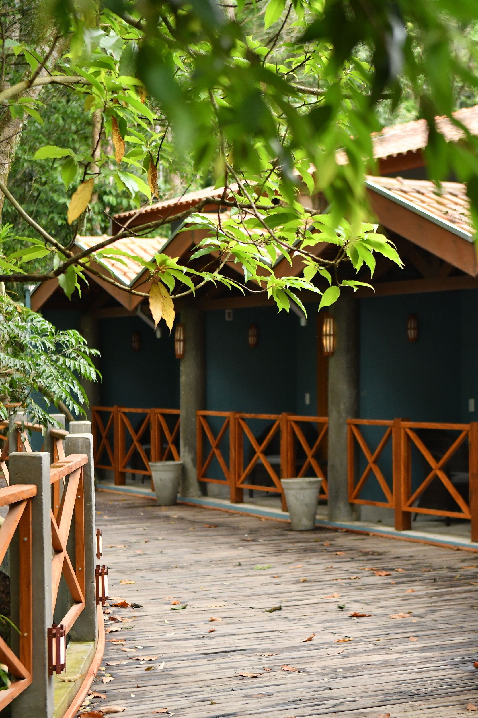 Pousada Chão De Folhas