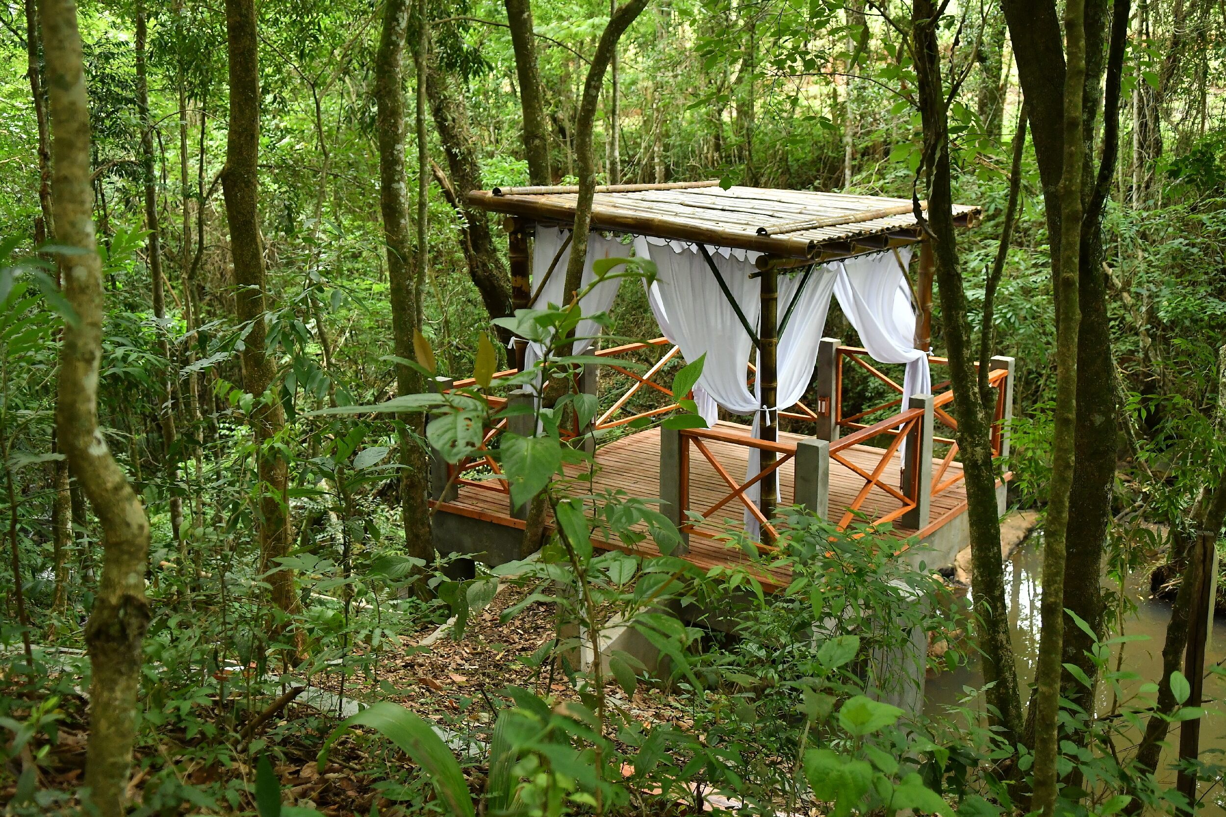 Pousada Chão De Folhas