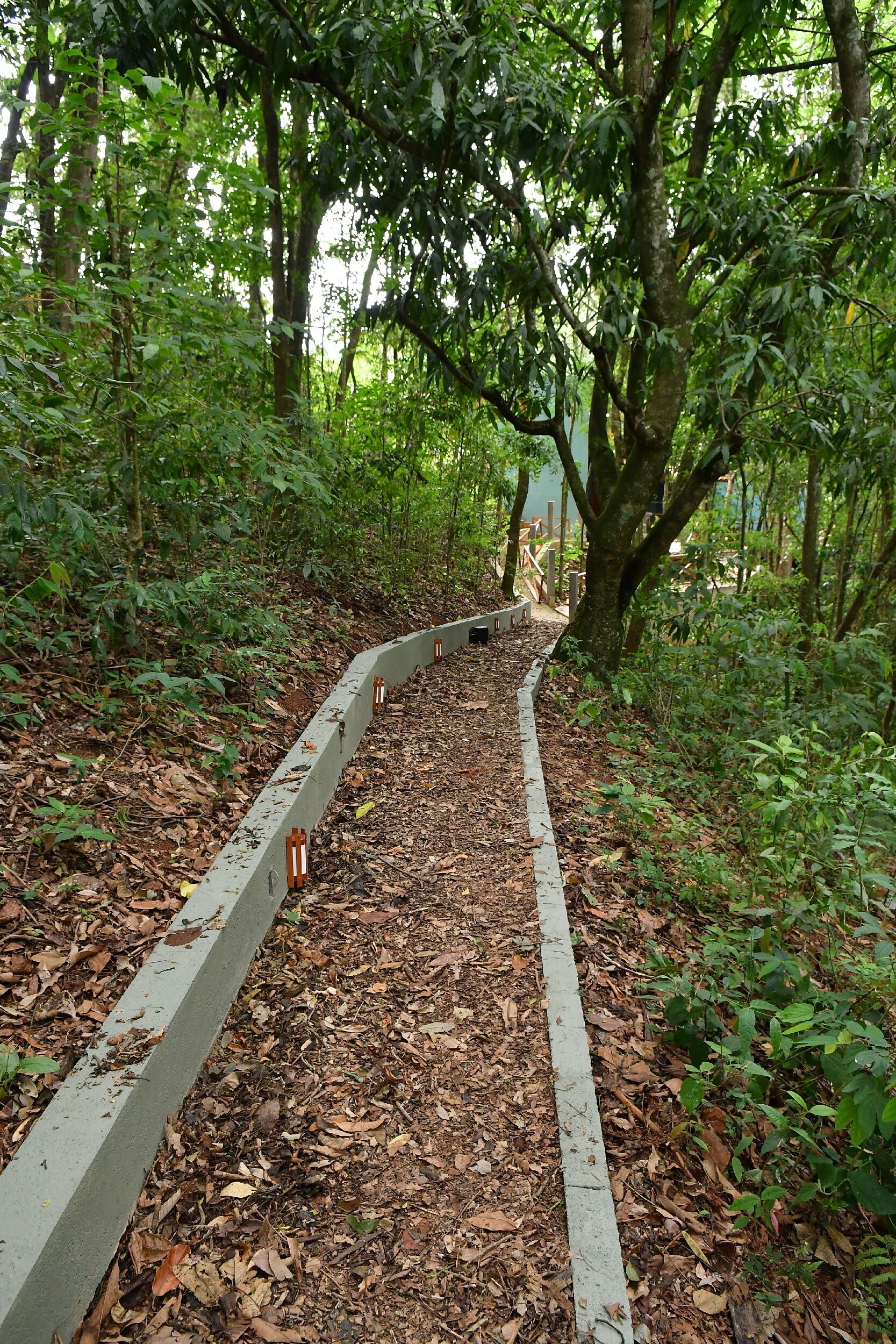 Pousada Chão De Folhas