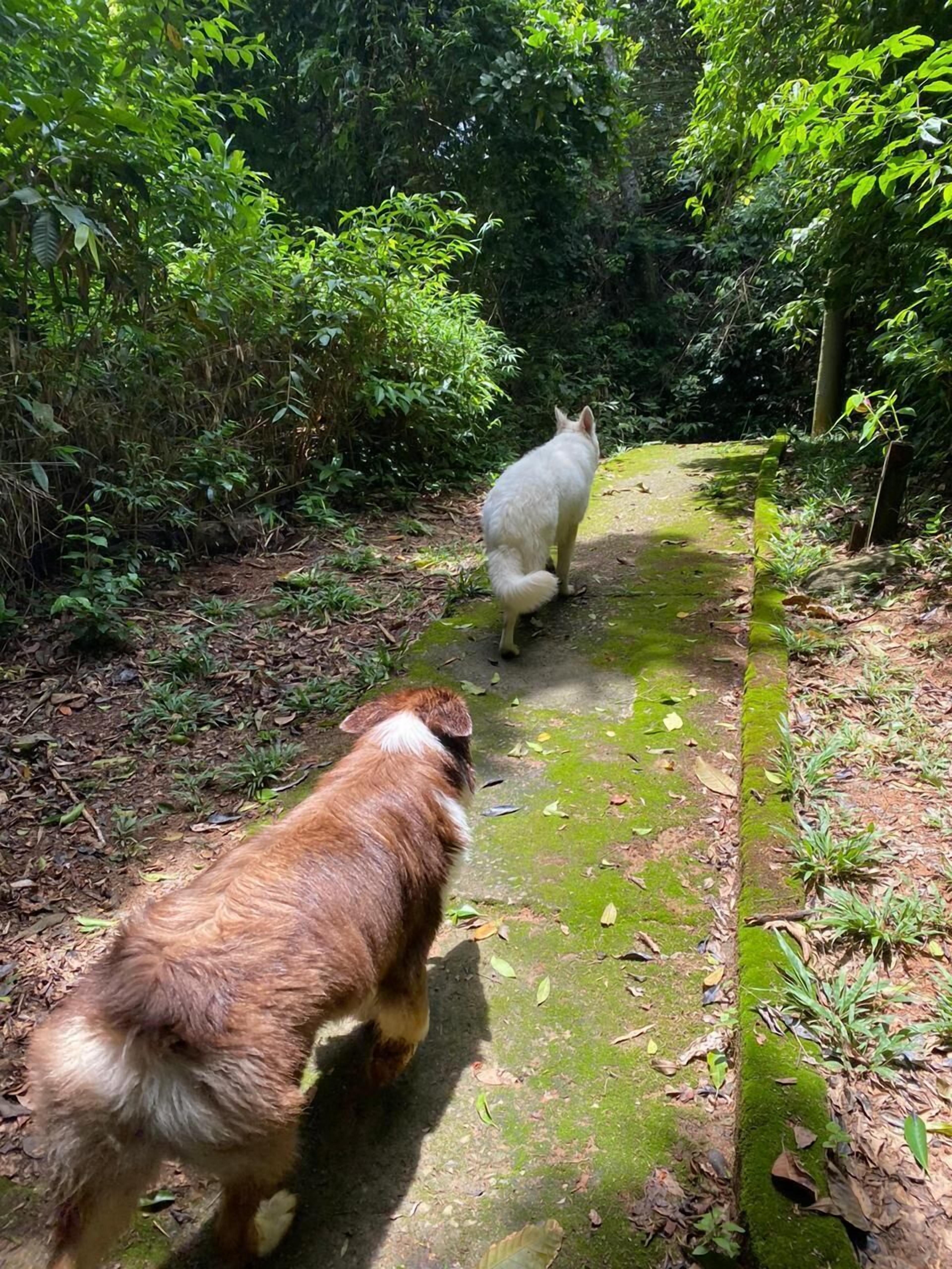 Pousada Canto do Hibisco