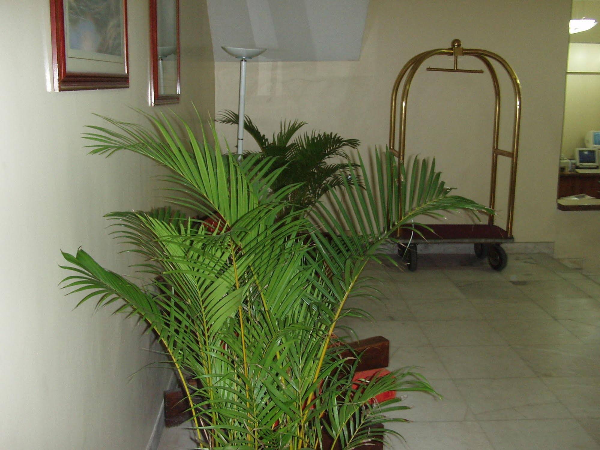Hotel Atlântico Avenida