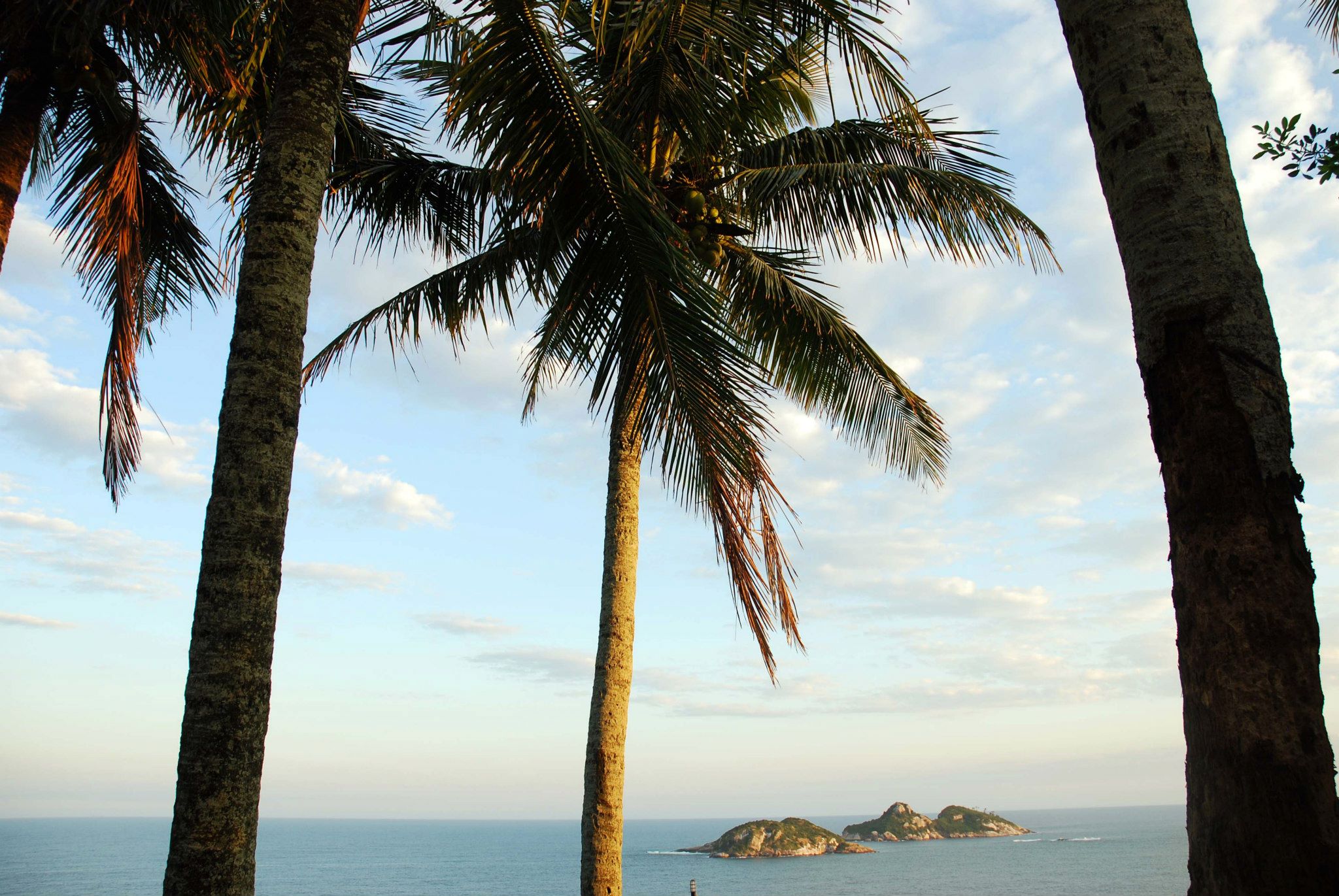 Cliffside Guest House & Experience