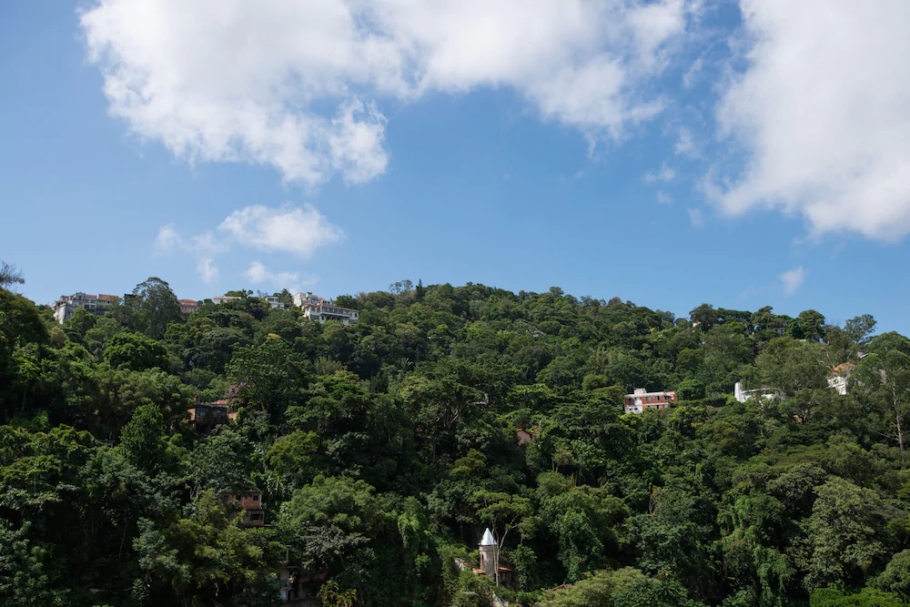 Rio Boutique Suites