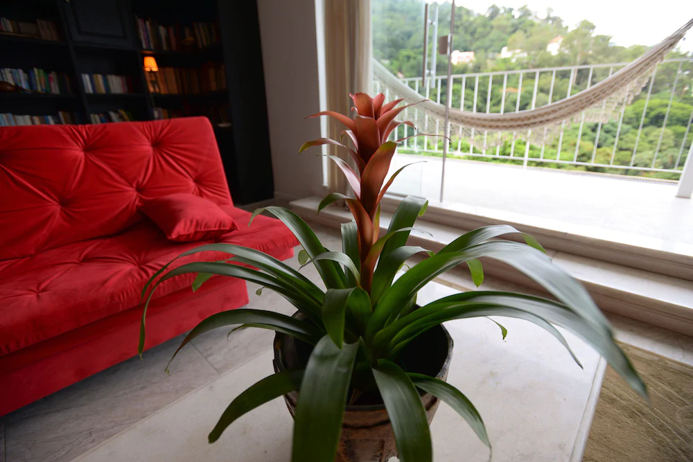 Rio Boutique Suites