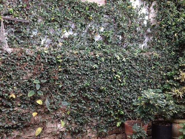Vidigal Maison D'hotes