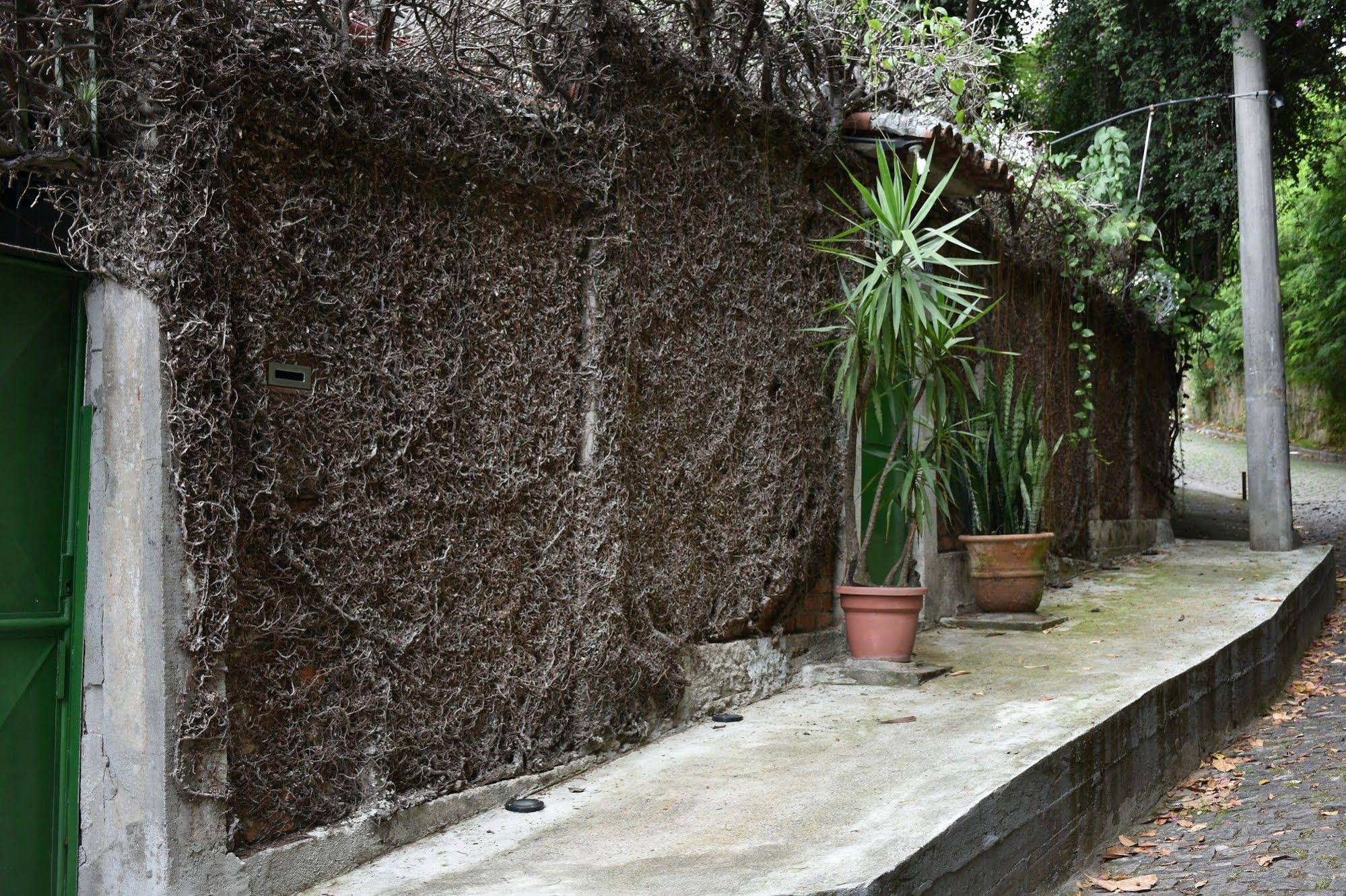 Casa Insanta