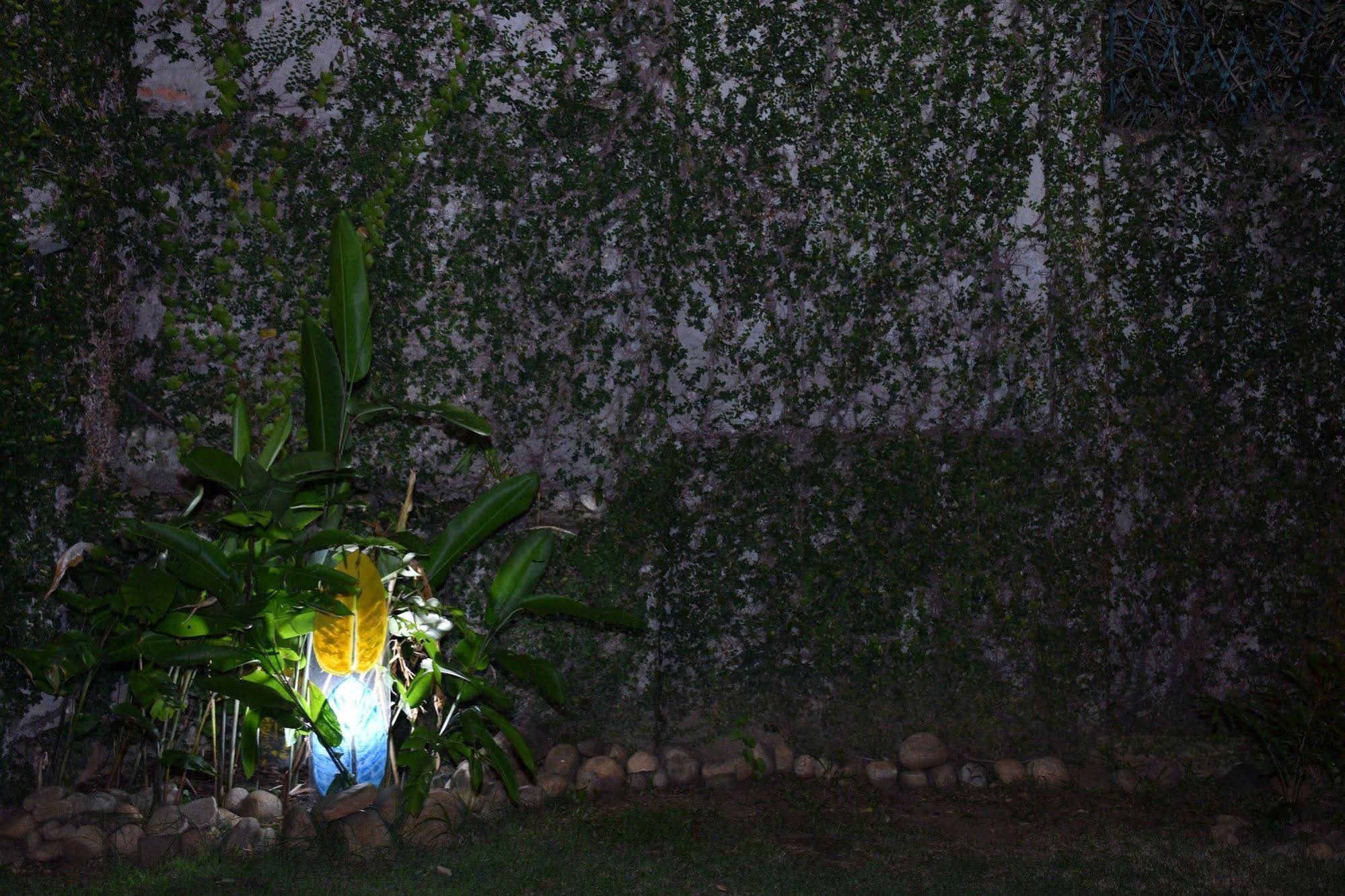 Casa Insanta