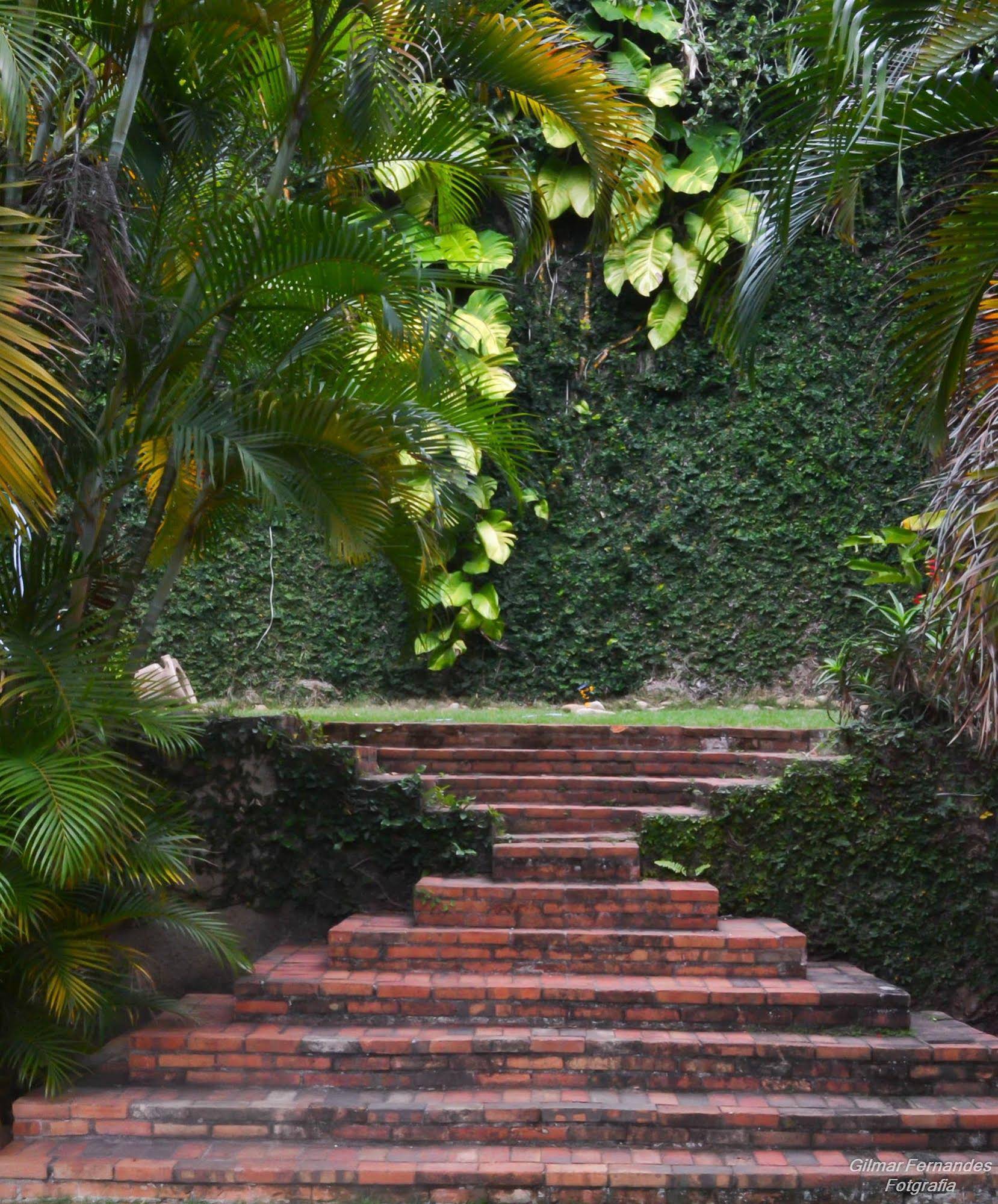 Casa Insanta