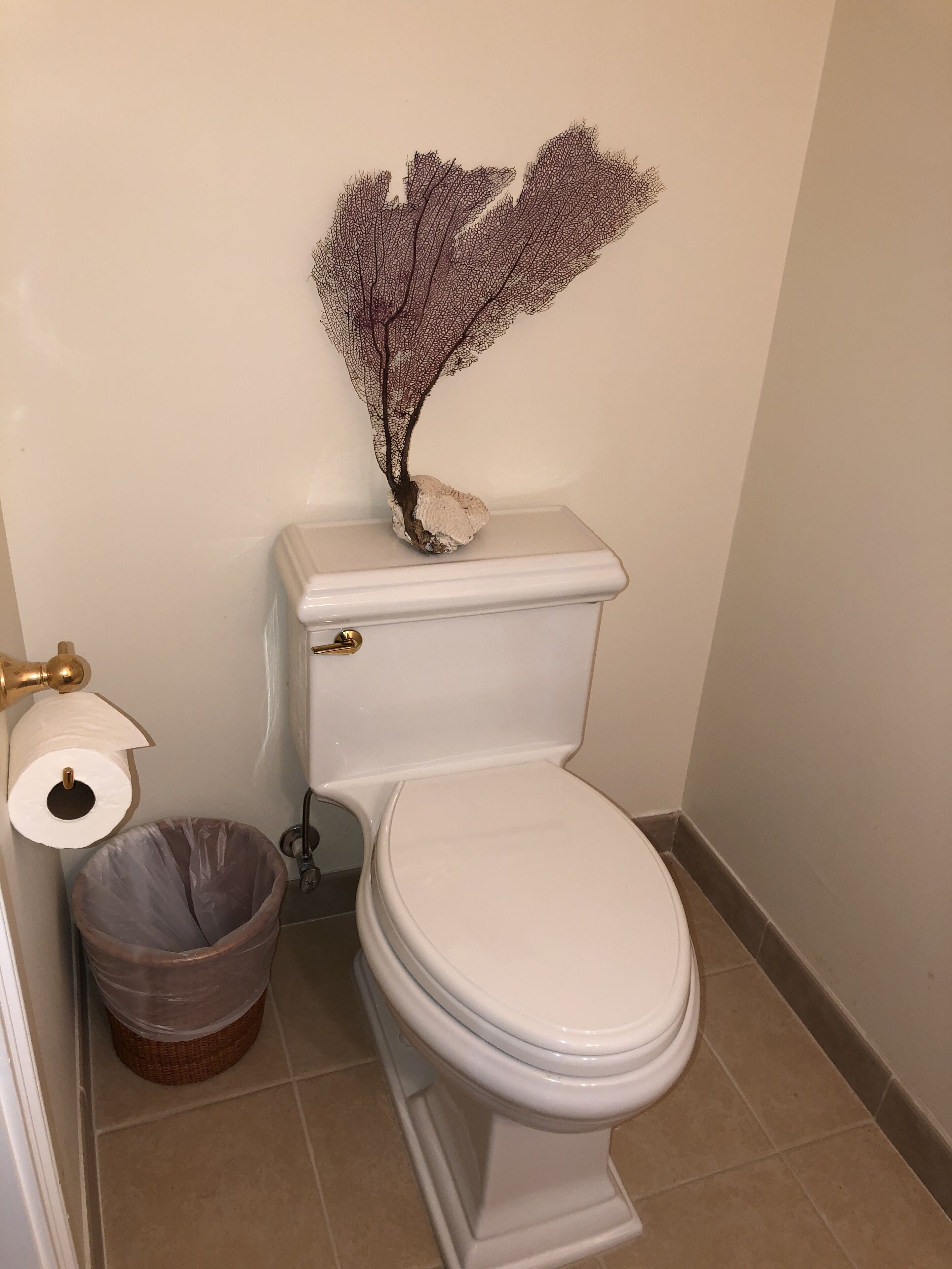 Chub Cay Cabanas
