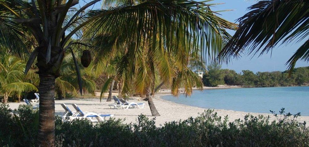 Buff House Beach Resort & Marina