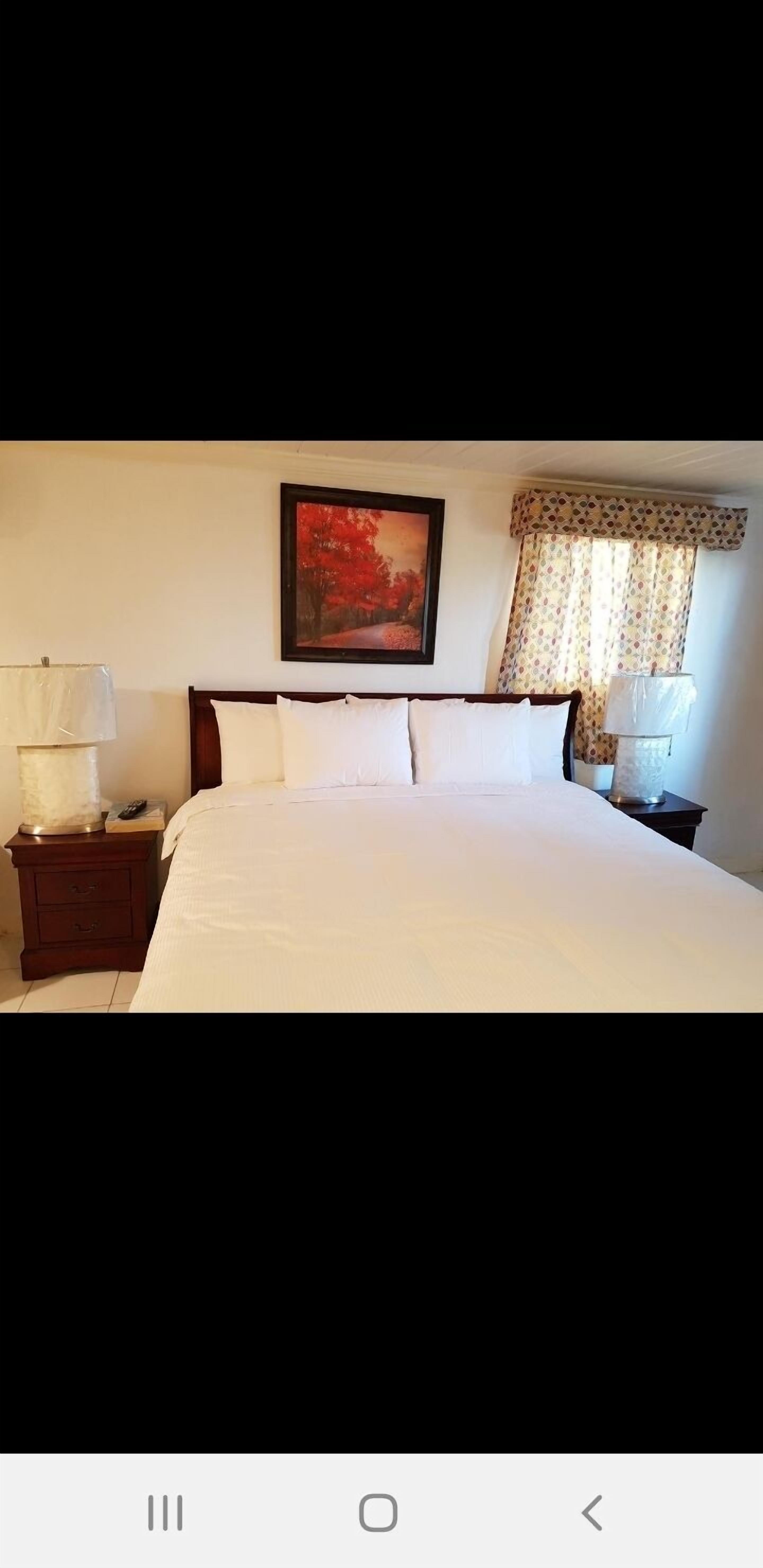 Golden Palm B & B