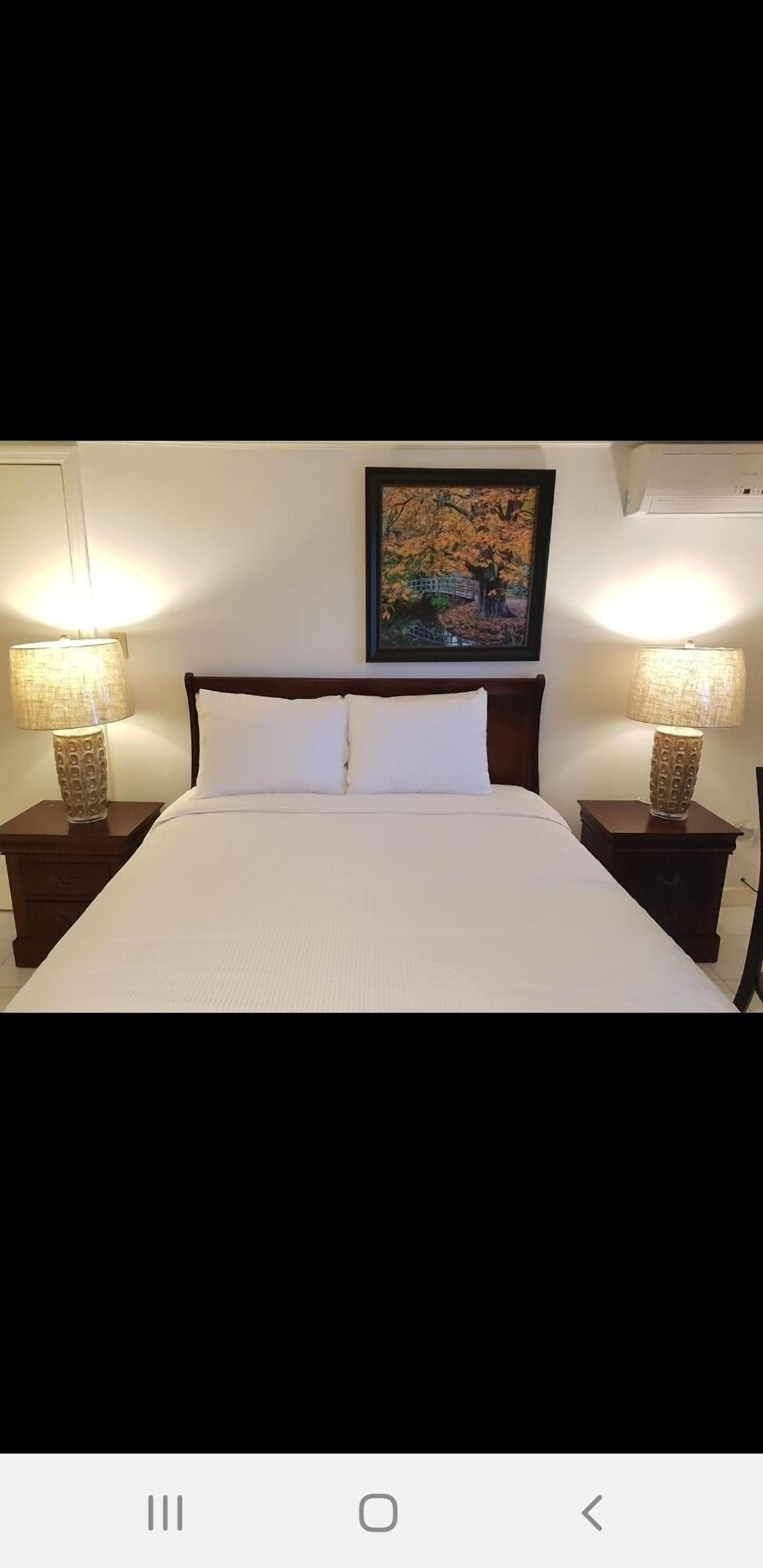 Golden Palm B & B