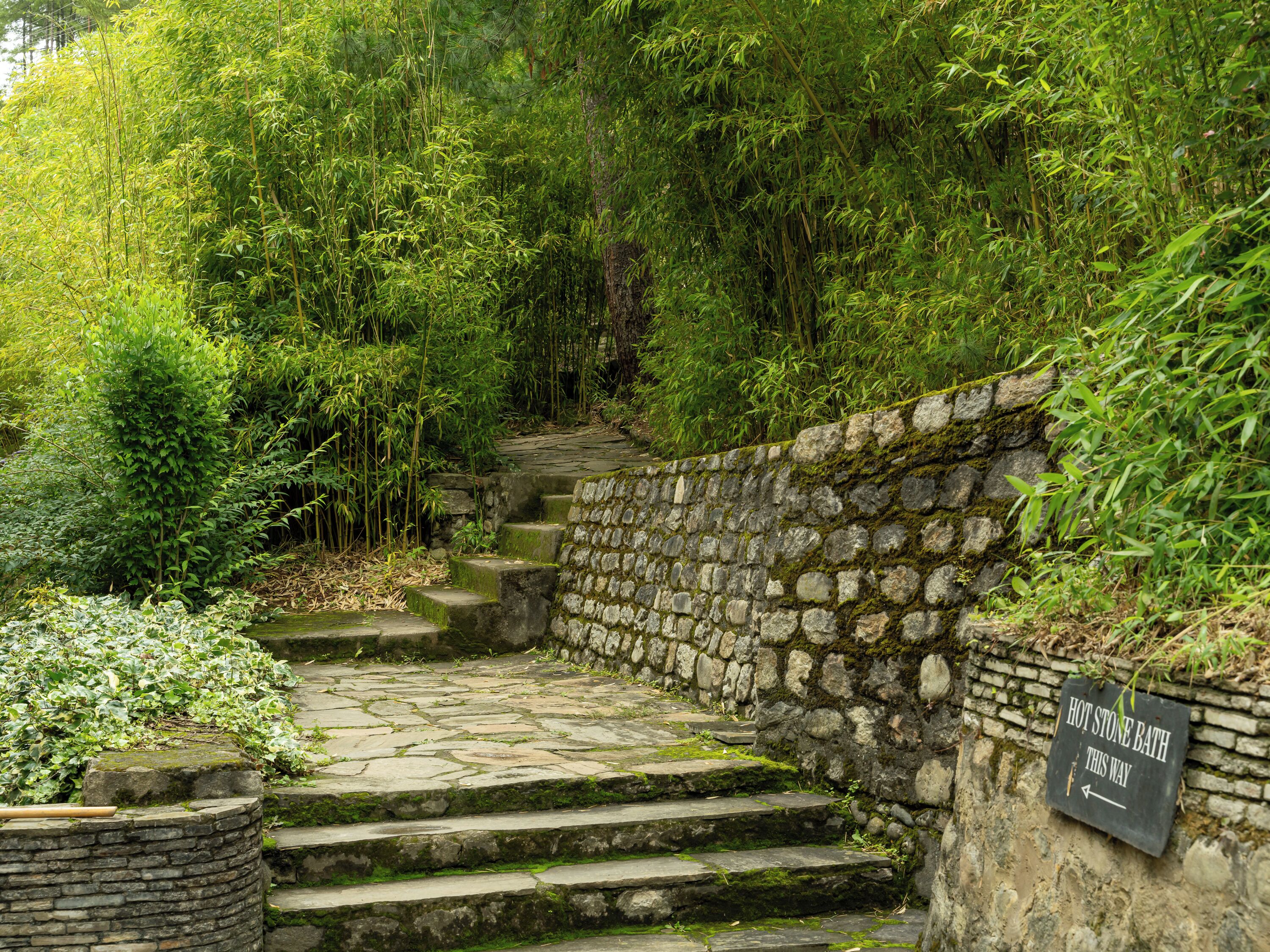 Tiger's Nest Resort