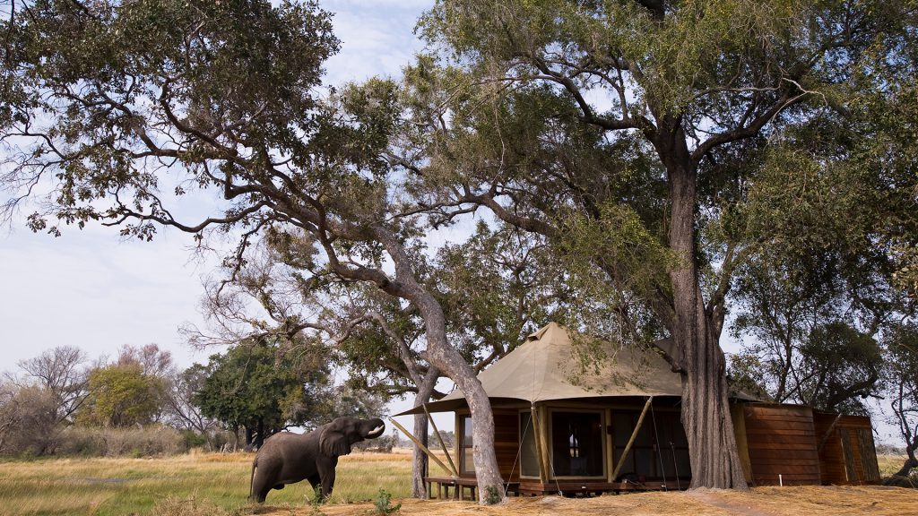 &Beyond Xaranna Okavango Delta Camp