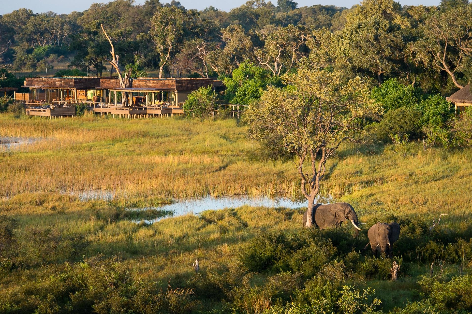 Wilderness Vumbura Plains