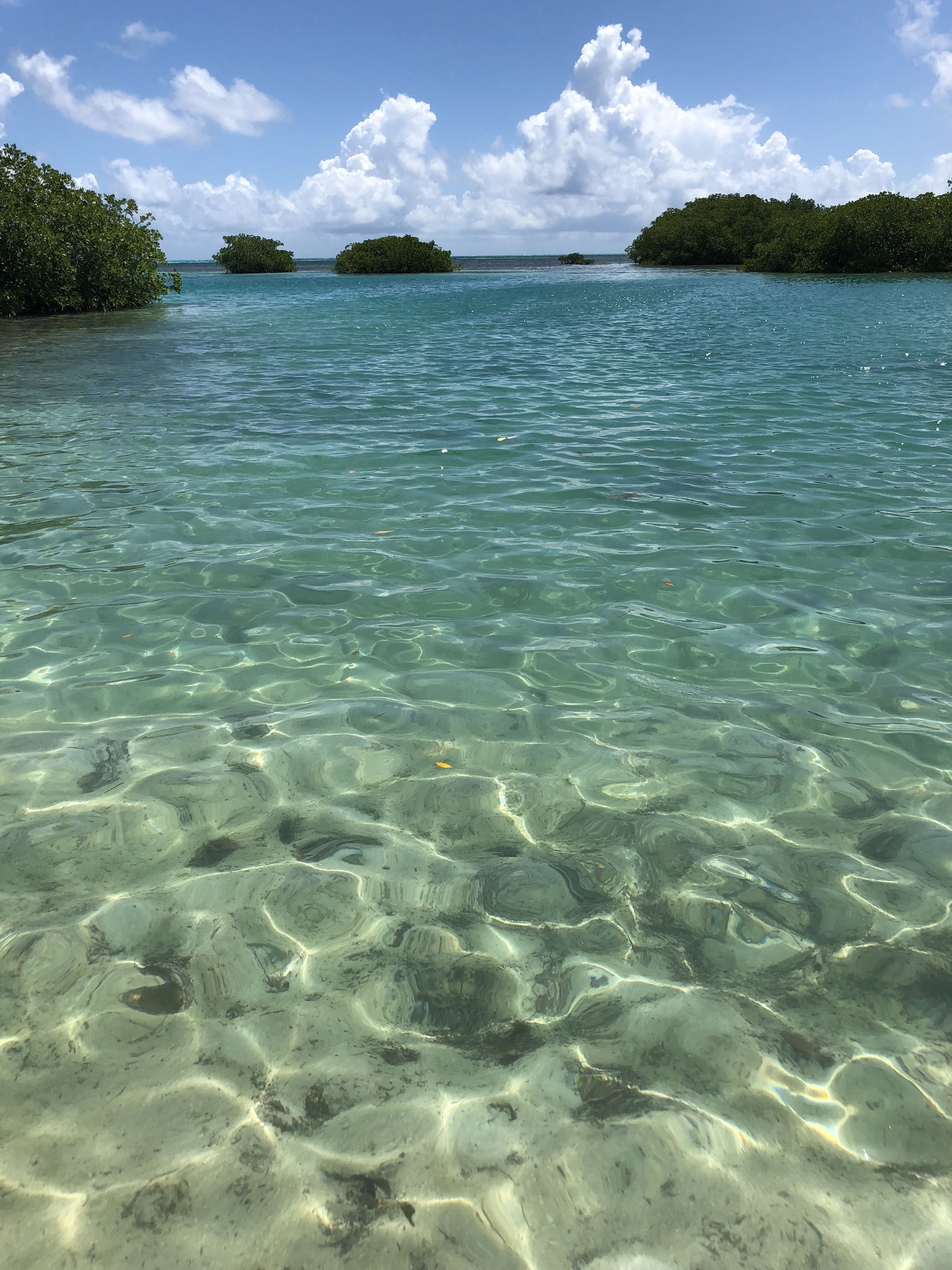 Royal Palm Island Resort