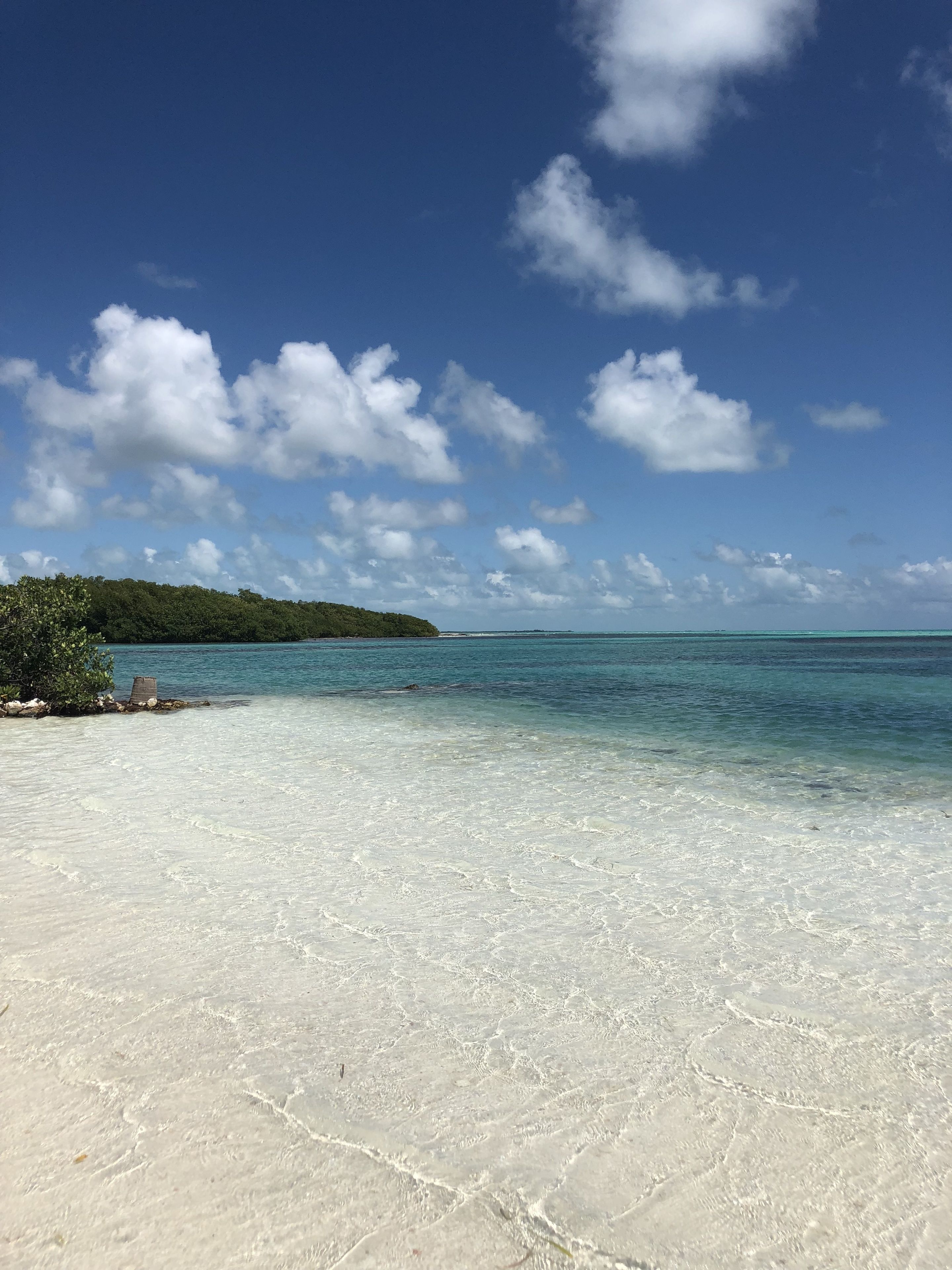 Royal Palm Island Resort