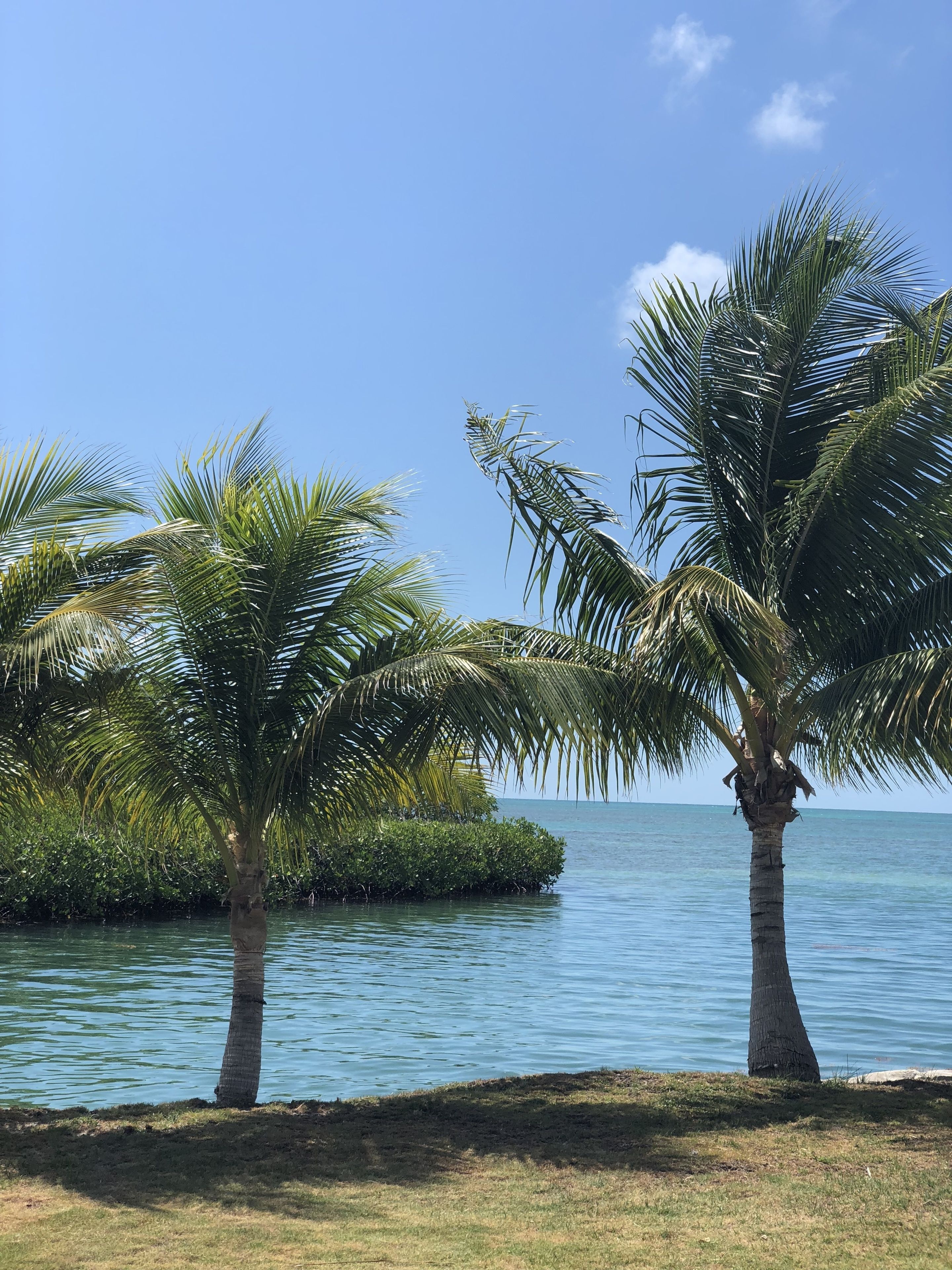 Royal Palm Island Resort