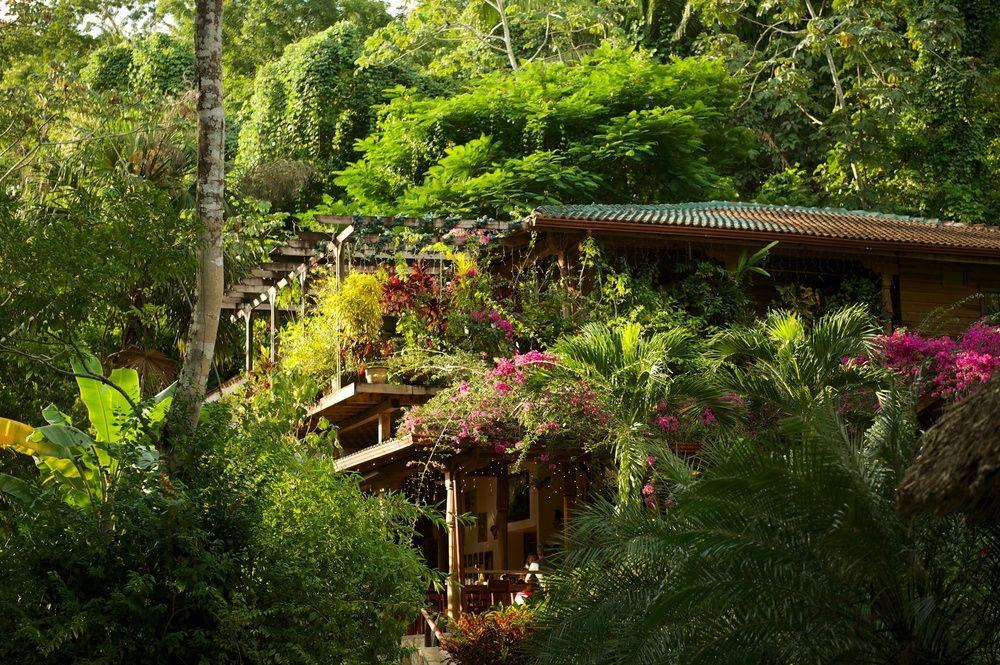 Caves Branch Jungle Lodge