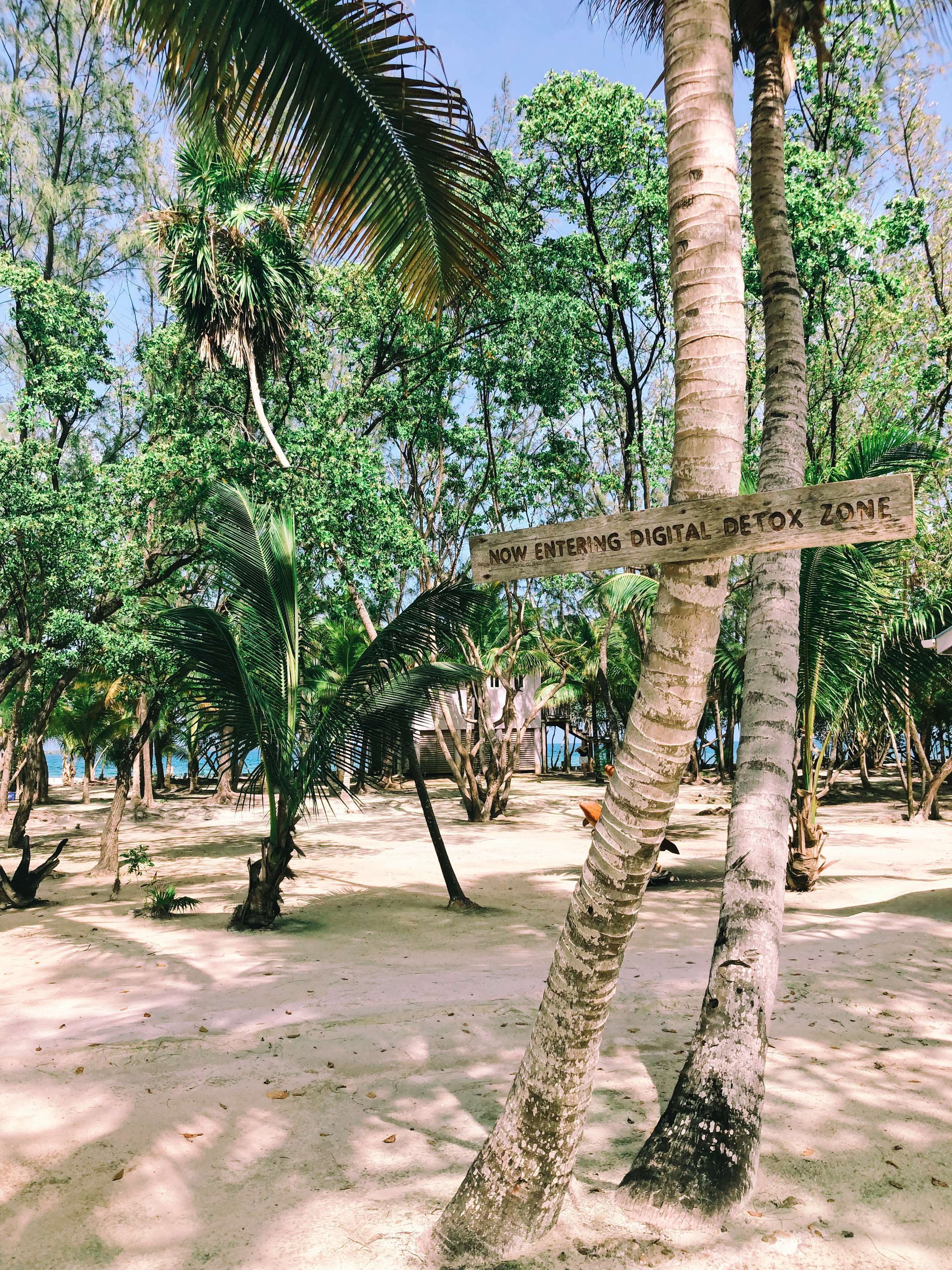 Thatch Caye, a Muy'Ono Resort