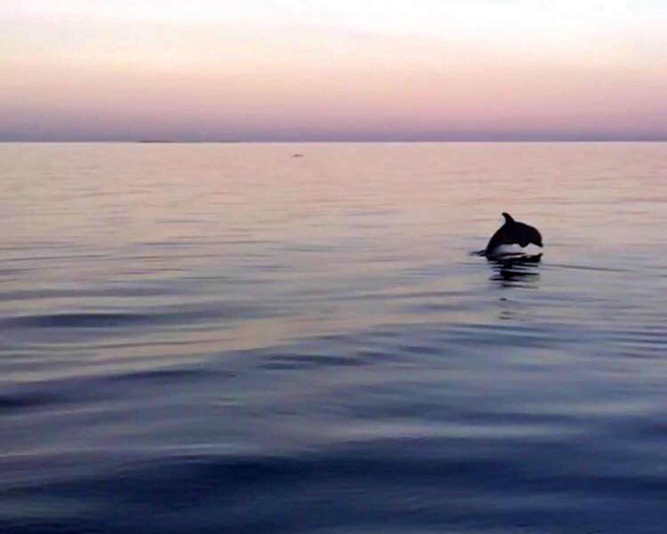 Thatch Caye, a Muy'Ono Resort