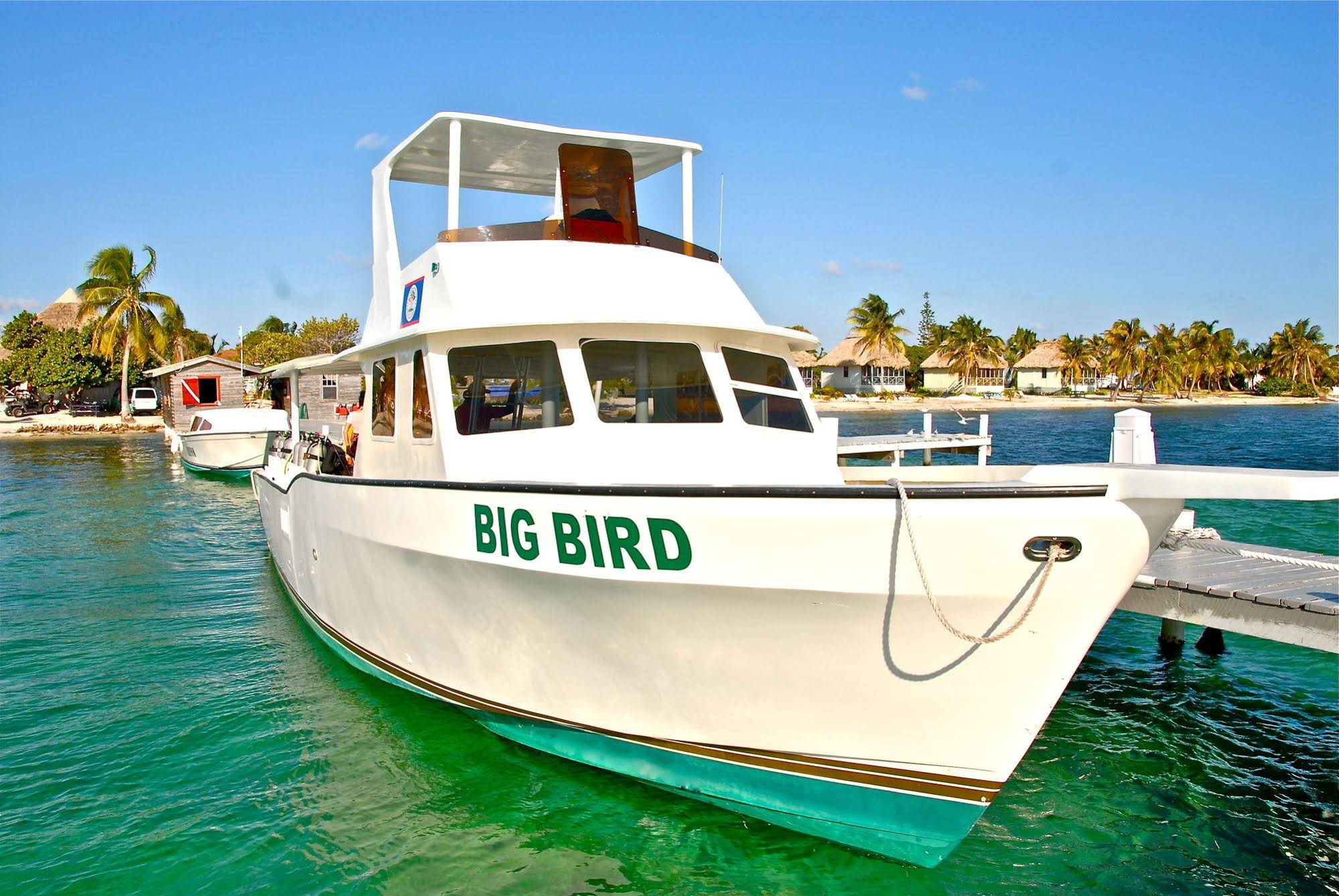 Blackbird Caye Resort