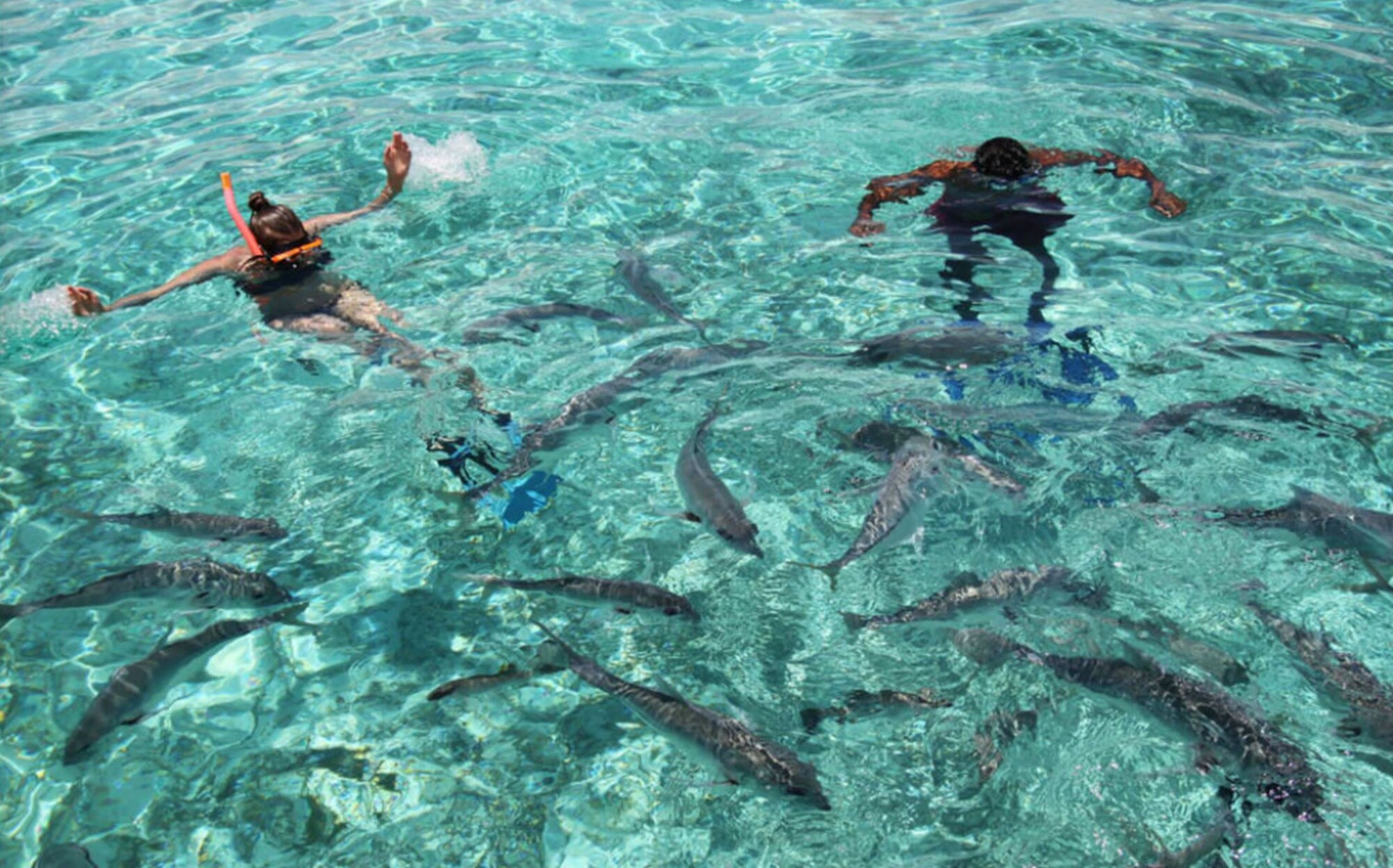 Matachica Resort and Spa