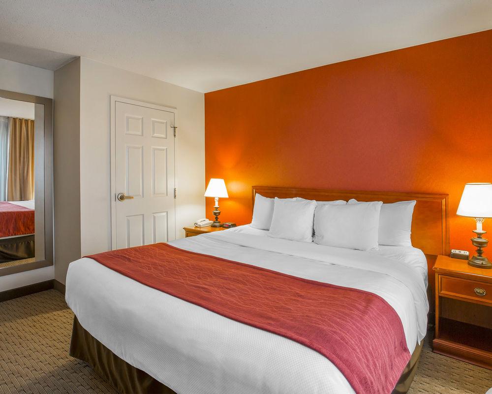 Comfort Inn & Suites South