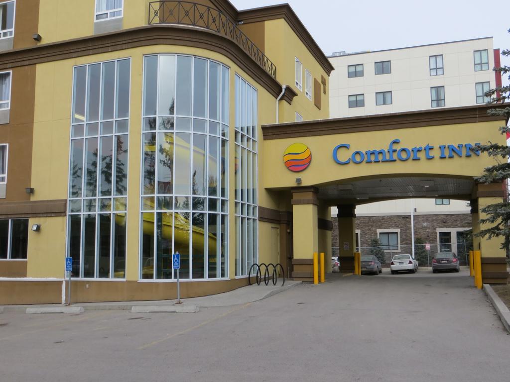 Comfort Inn & Suites University