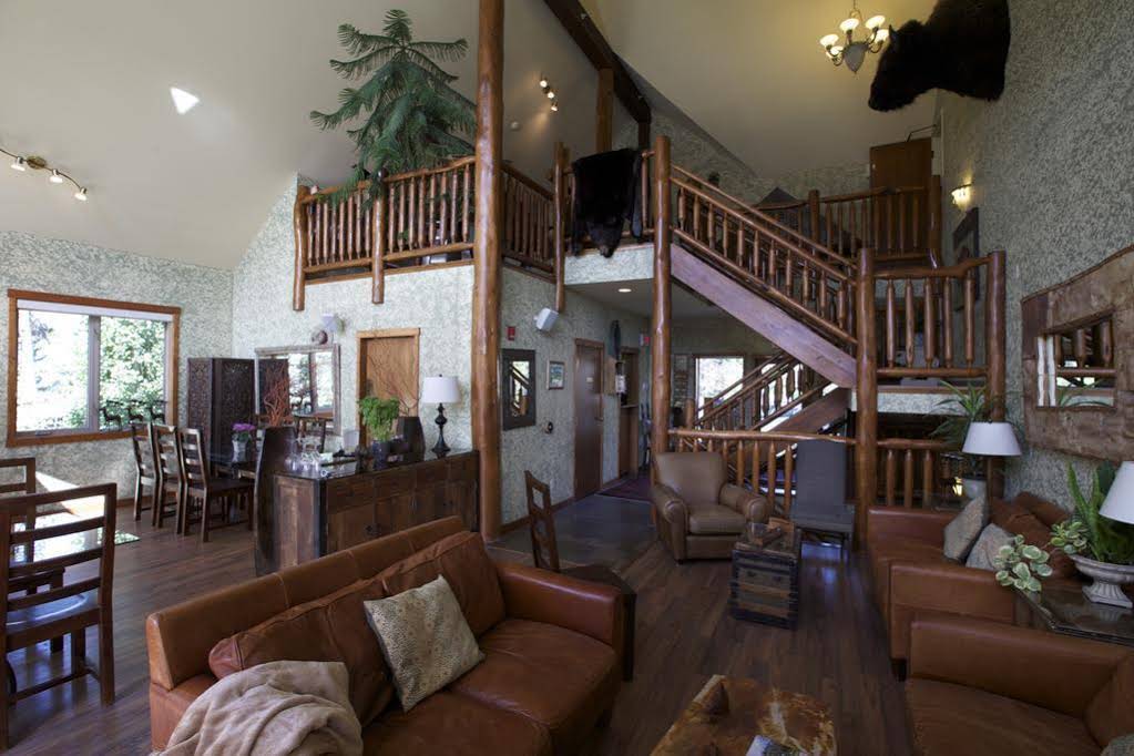 A Bear & Bison Country Inn