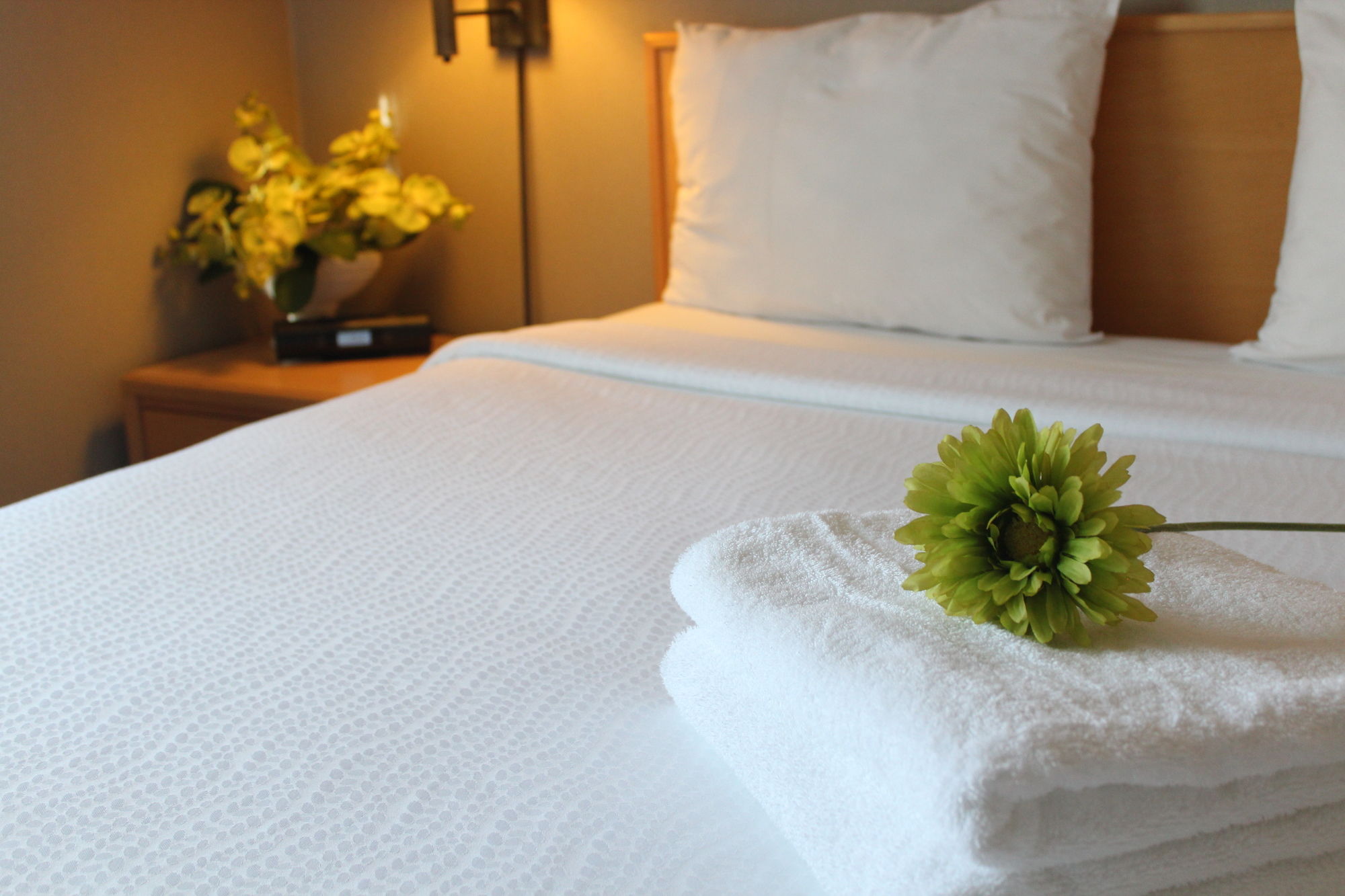 Travelodge by Wyndham Fort McMurray