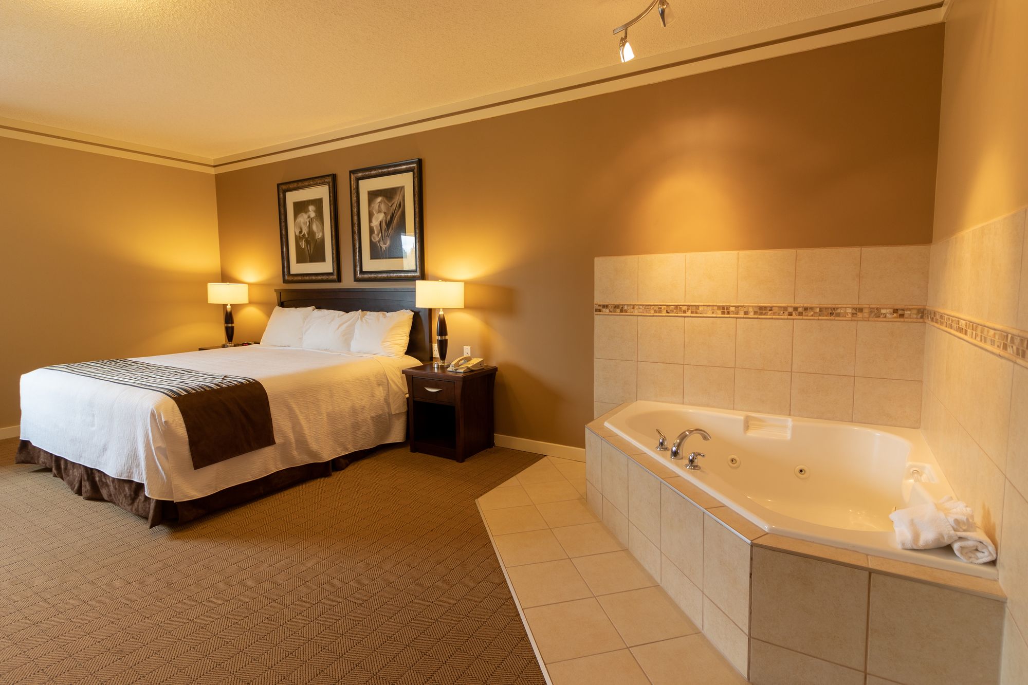 Best Canadian Motor Inn Hinton
