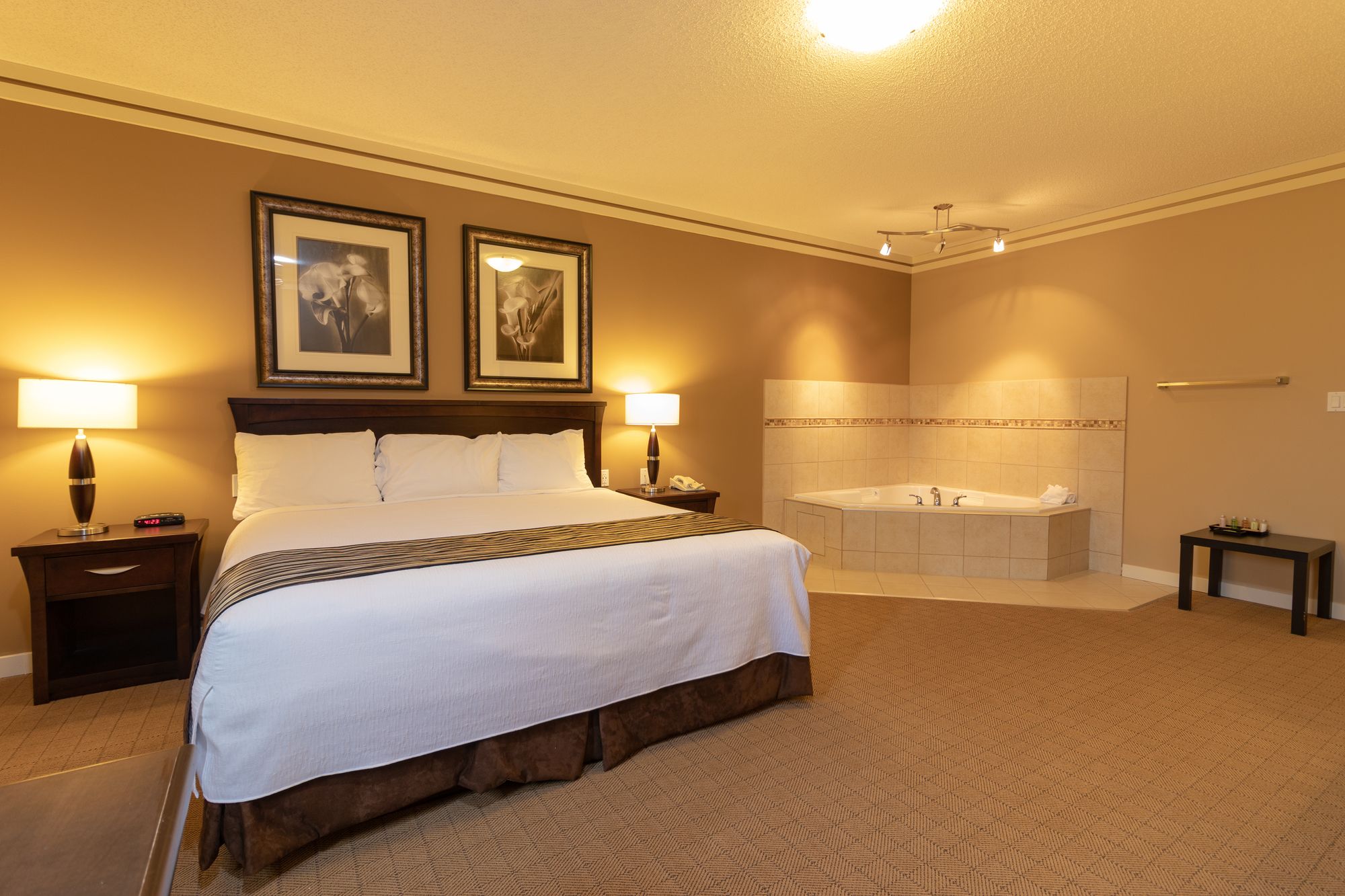 Best Canadian Motor Inn Hinton