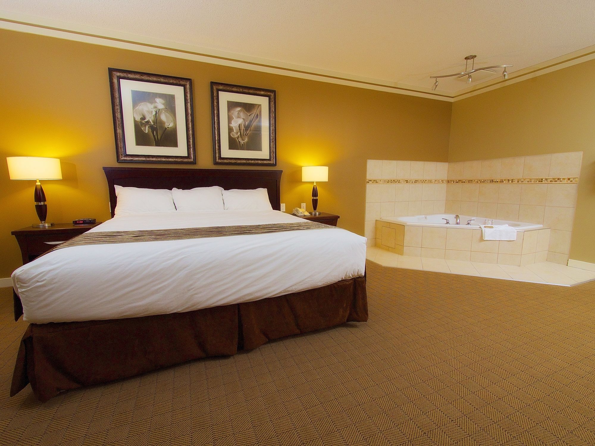 Best Canadian Motor Inn Hinton