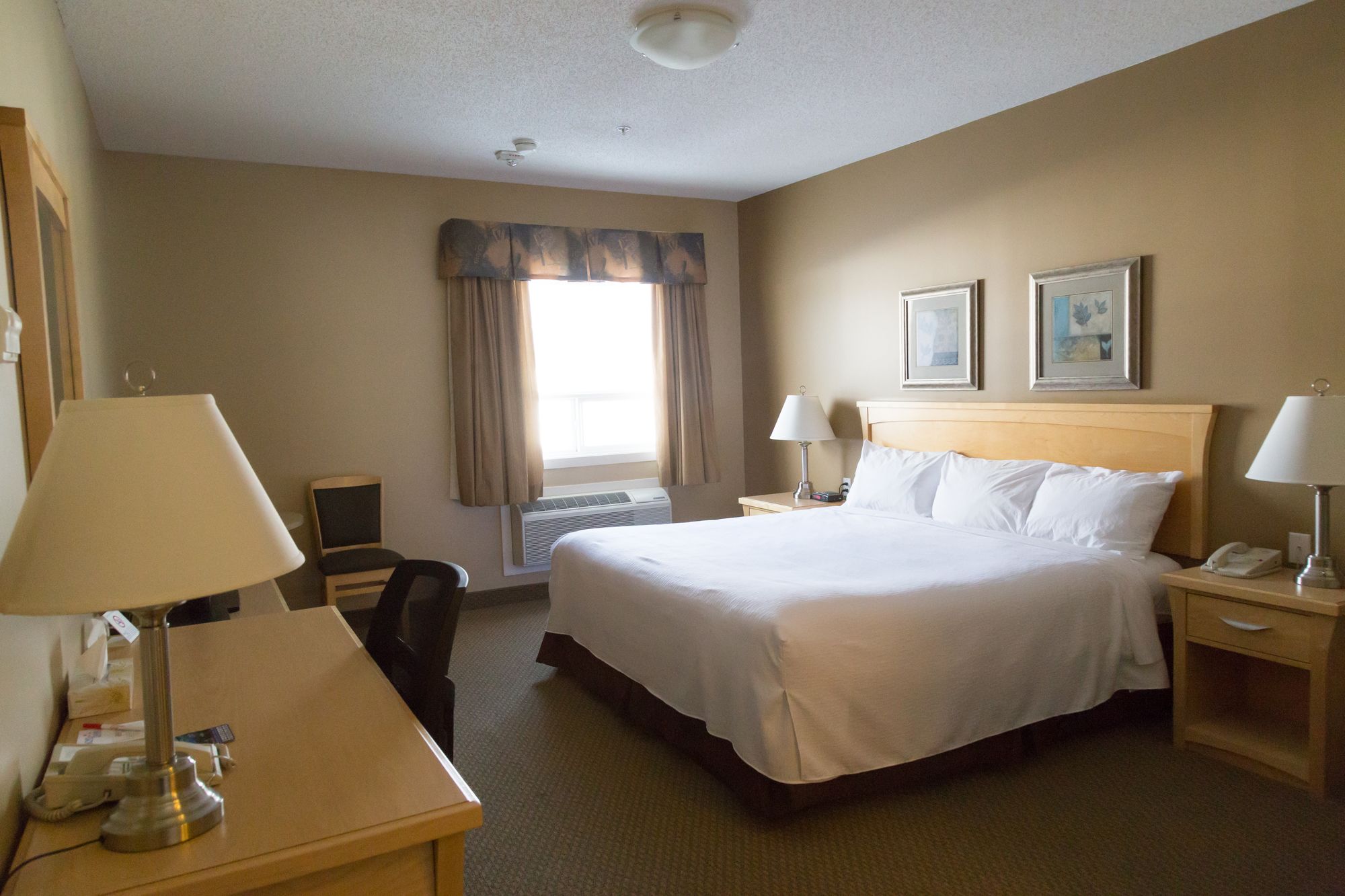 Best Canadian Motor Inn Hinton