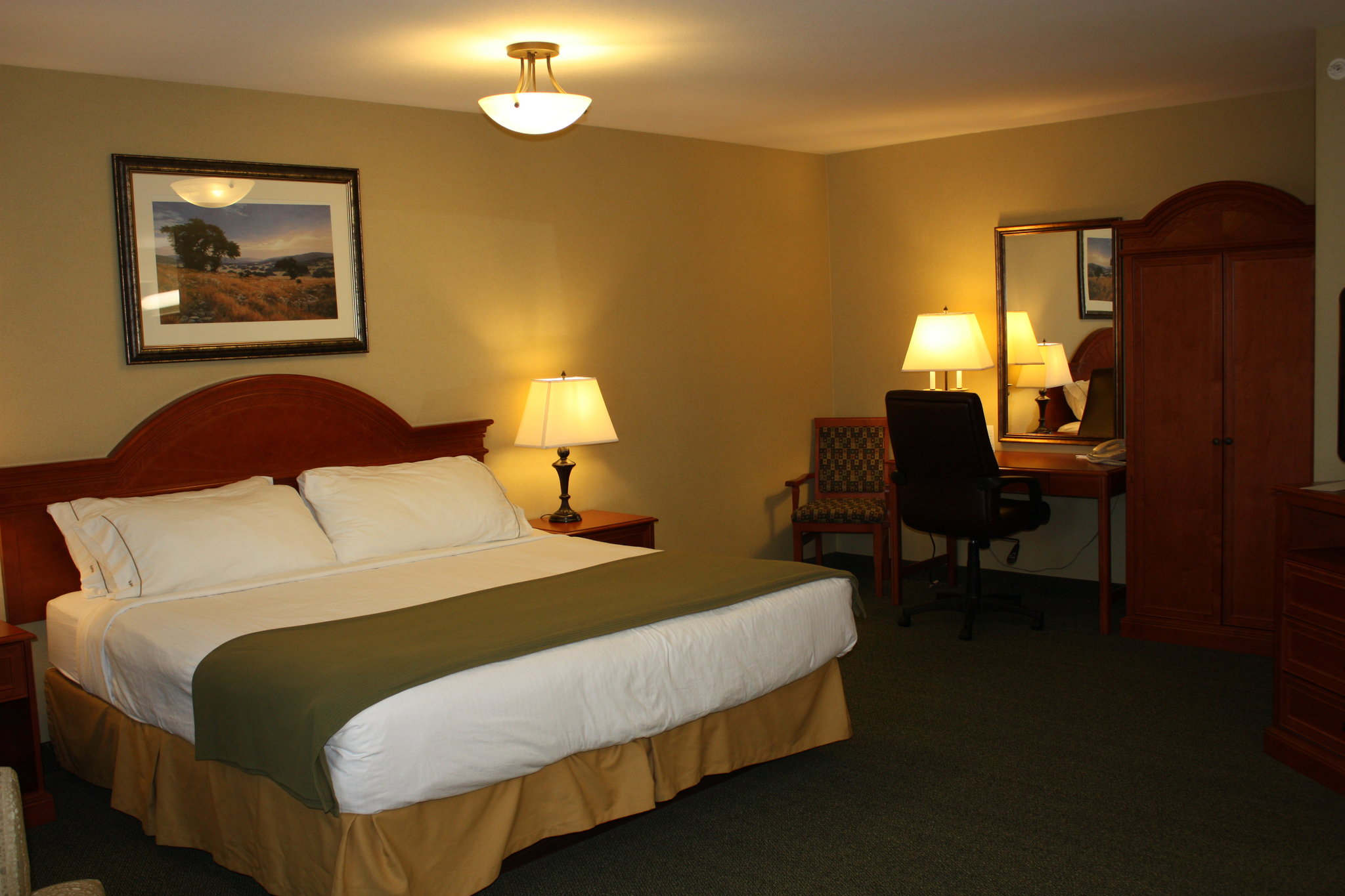 Holiday Inn Express & Suites Medicine Hat Transcanada Highway 1