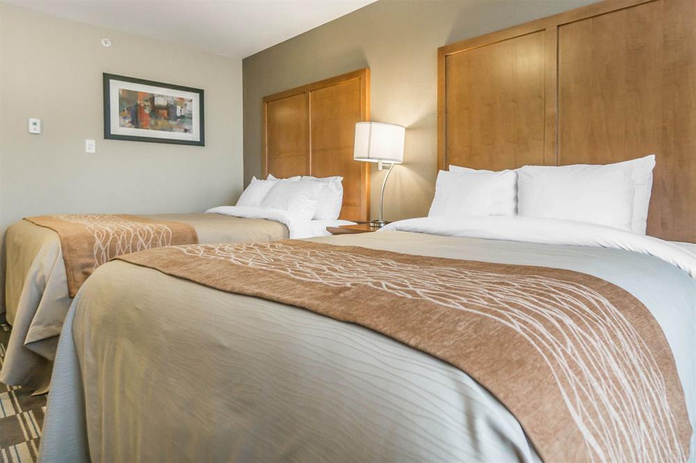 Comfort Inn & Suites Edmonton International Airport