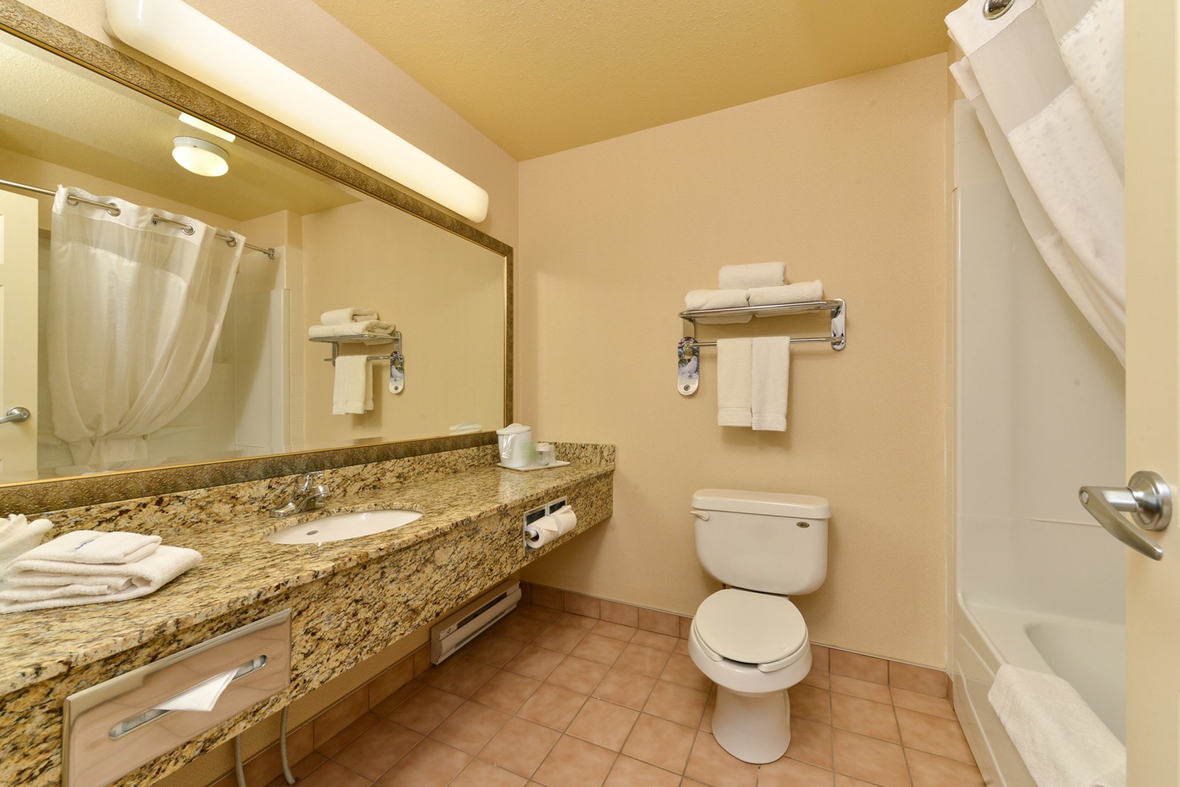 Holiday Inn Hotel & Suites Edmonton Arpt - Conference Ctr