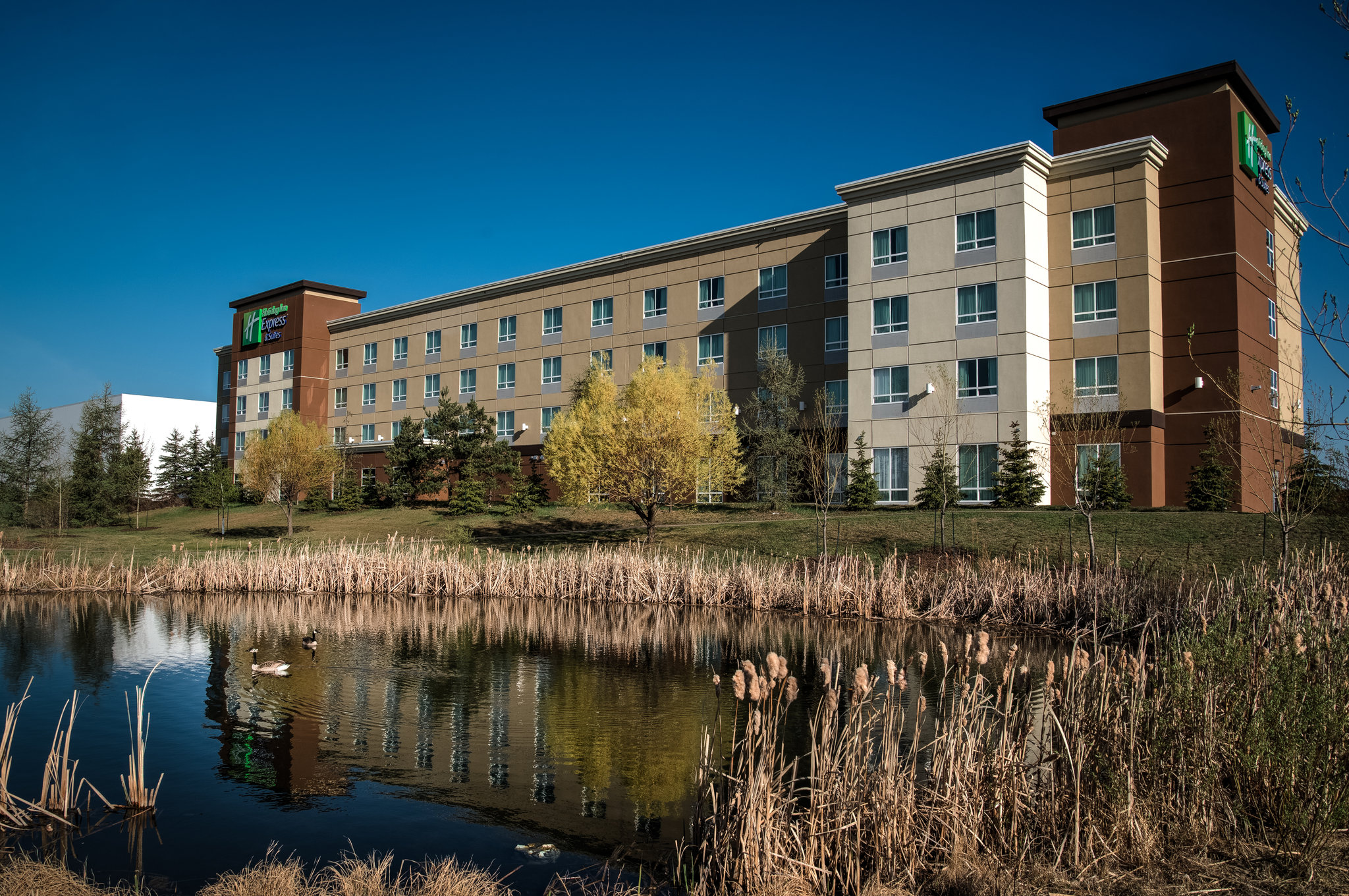 Holiday Inn Express & Suites Spruce Grove - Stony Plain