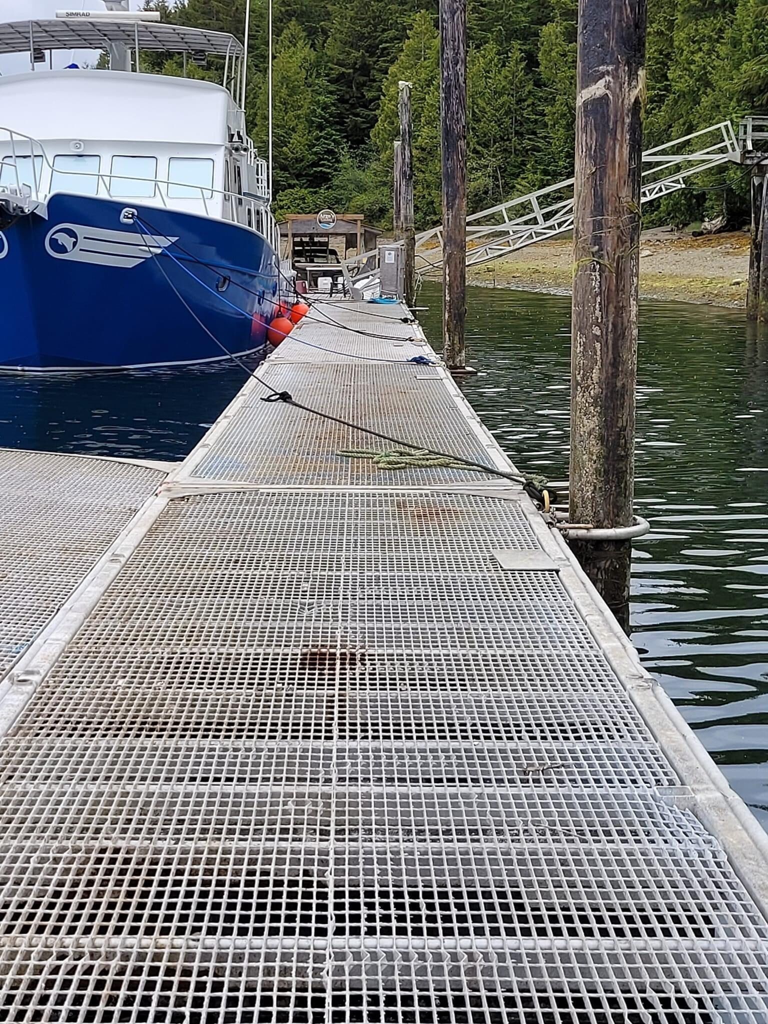 Argo's Landing