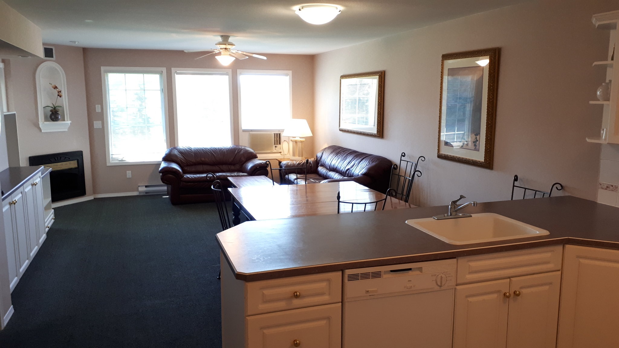 Mountain View Suites