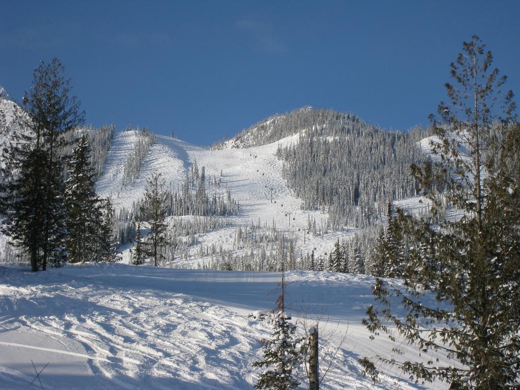 Palliser Lodge