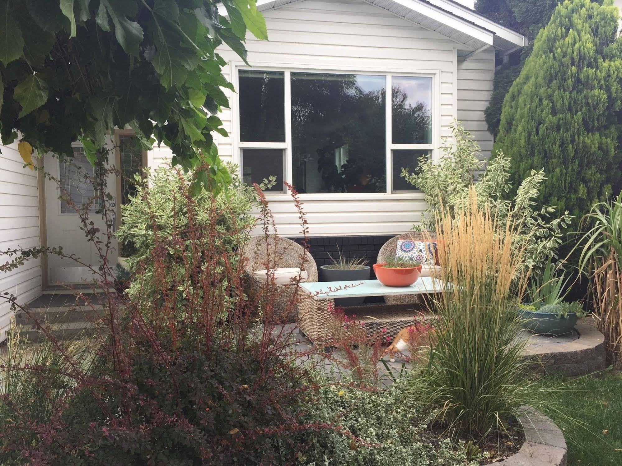 Serenity Stay Bed & Breakfast