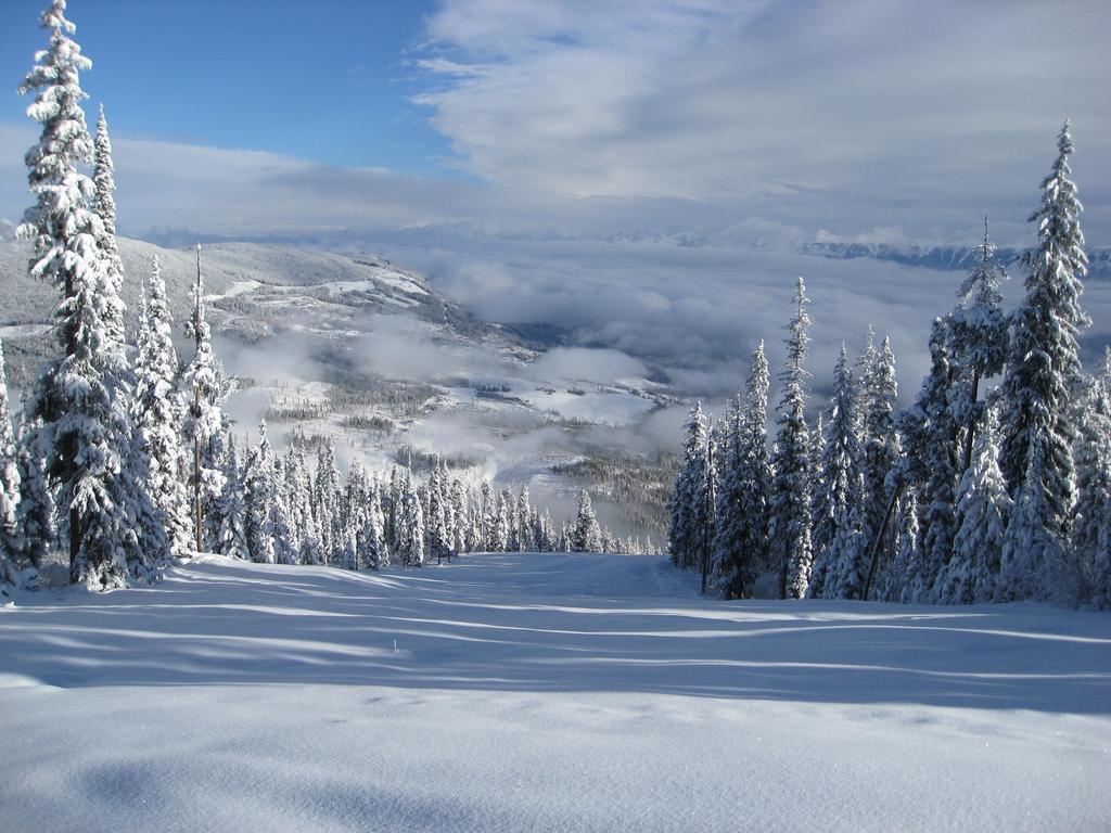 Trickle Creek Lodge