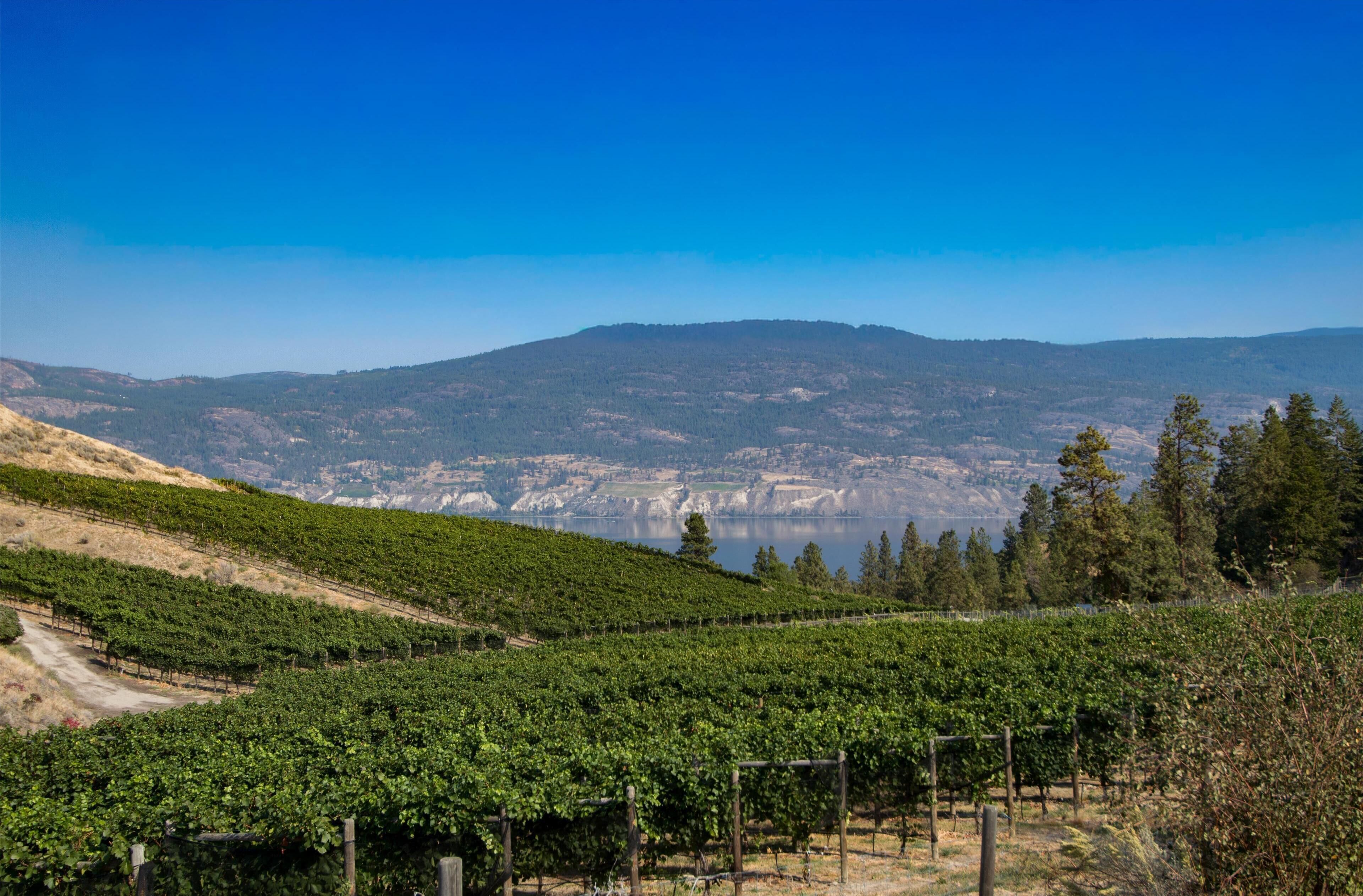 Super 8 by Wyndham Penticton