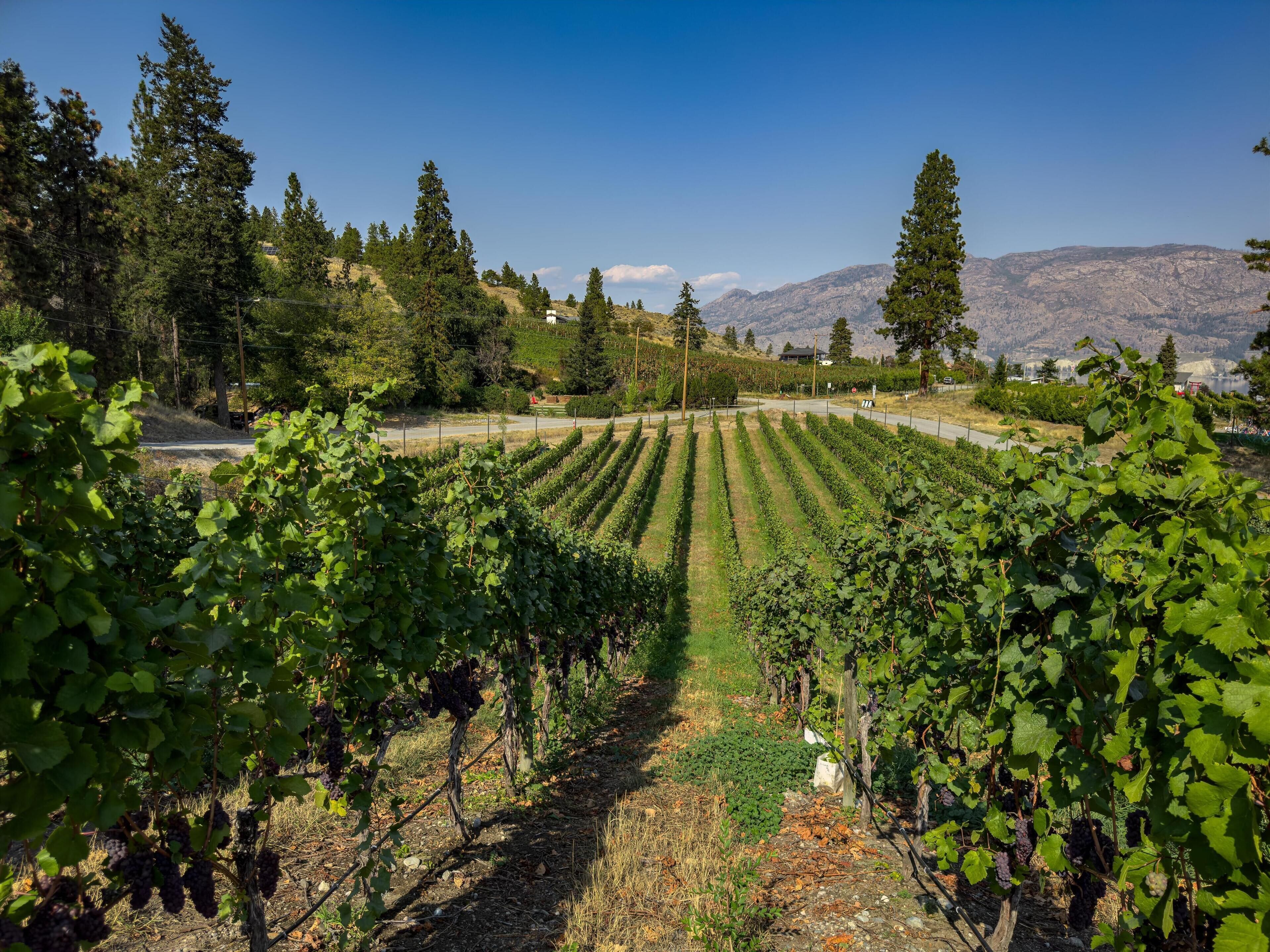 Super 8 by Wyndham Penticton