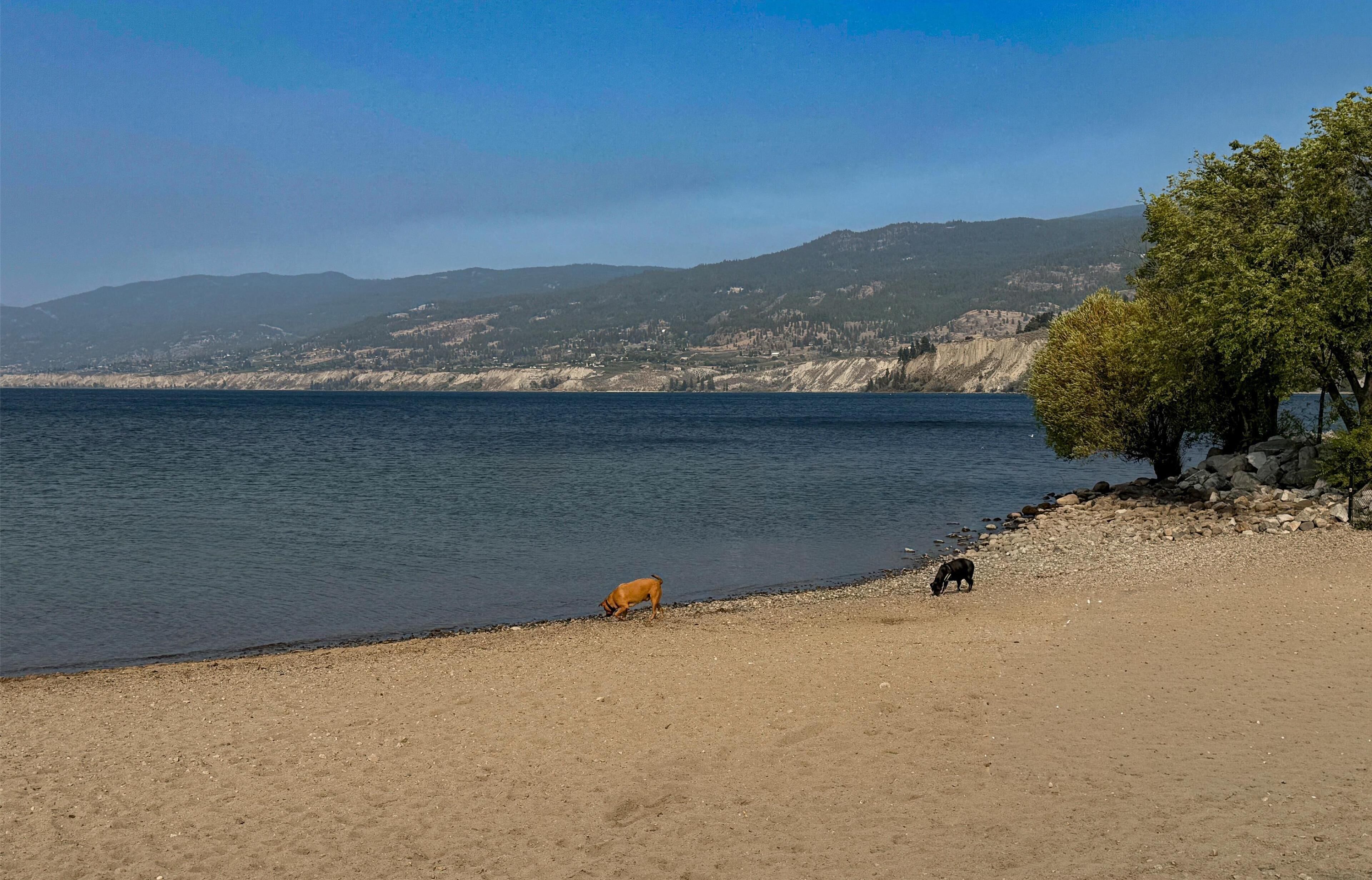 Super 8 by Wyndham Penticton