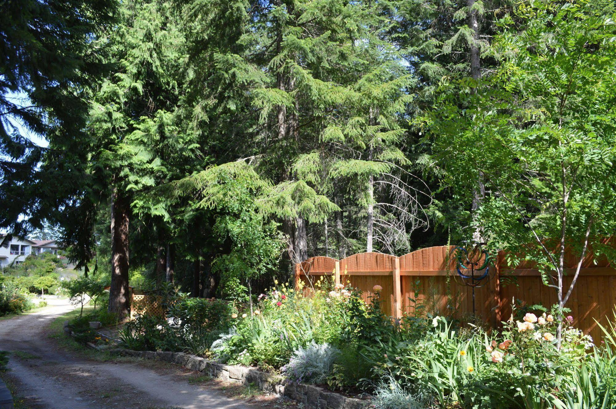Armand Heights Bed And Breakfast